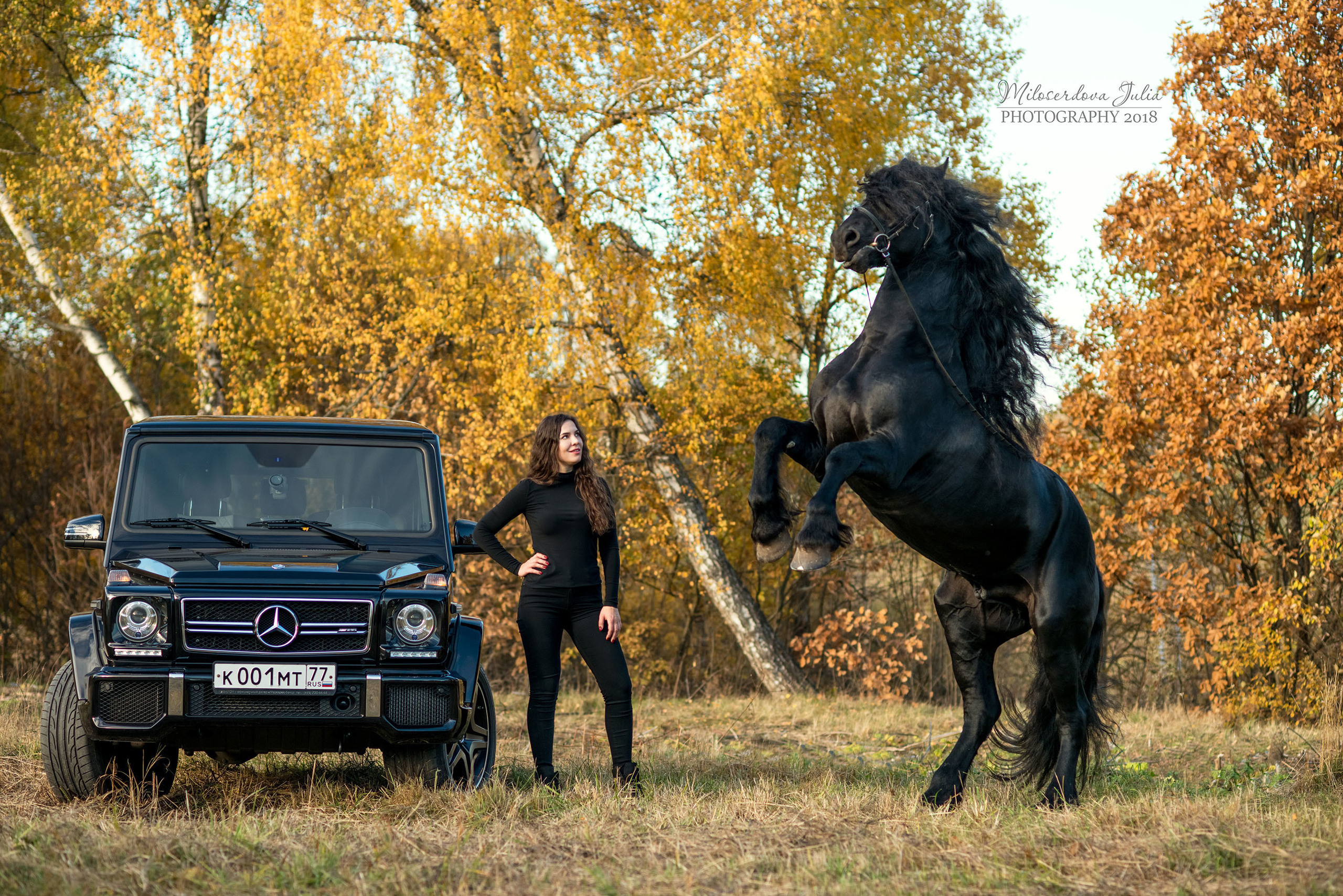 Фотосессии с лошадьми. Фотограф Юлия Милосердова