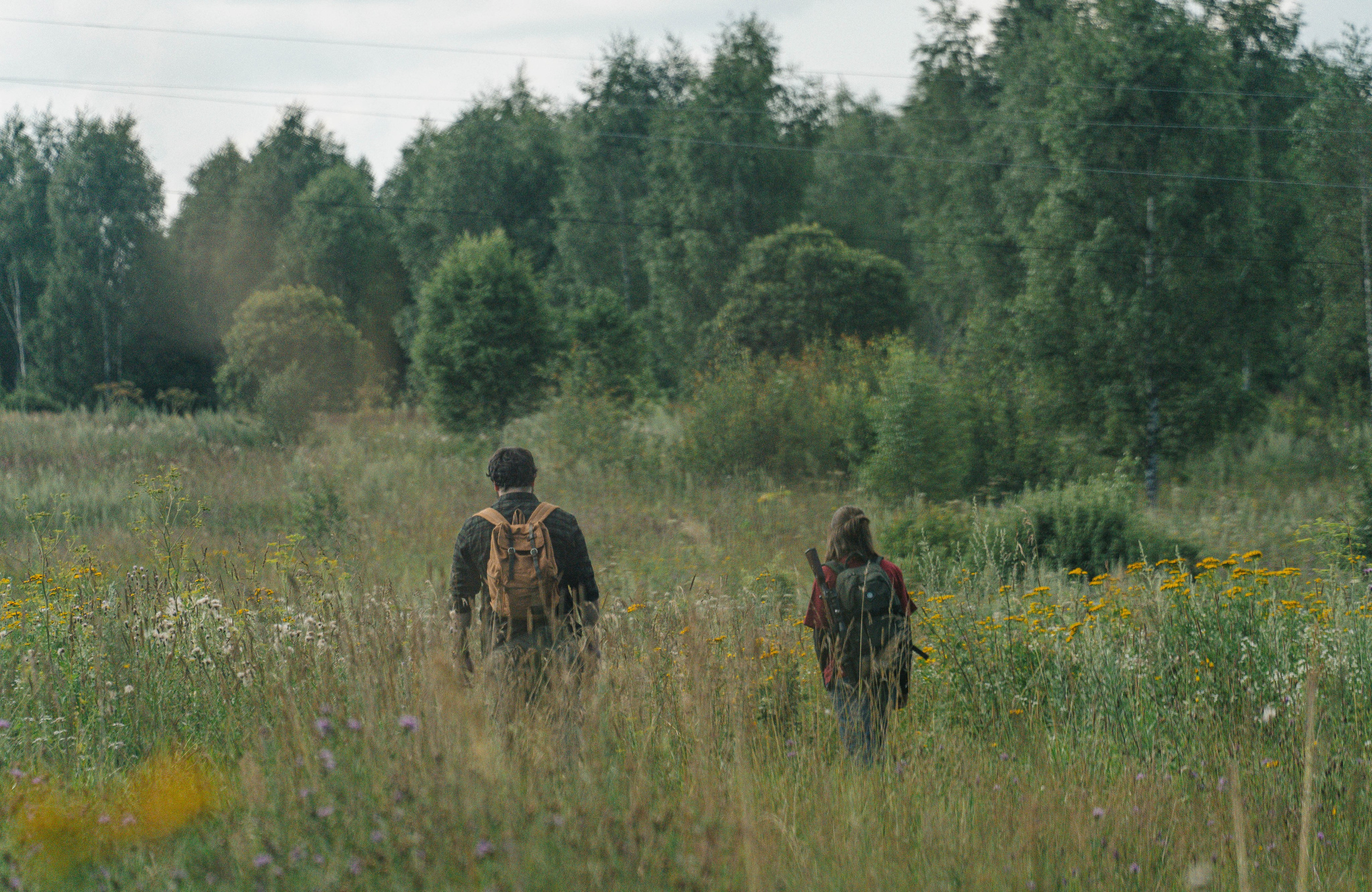 Фотосессия The Last of Us (Одни из нас). Светофография