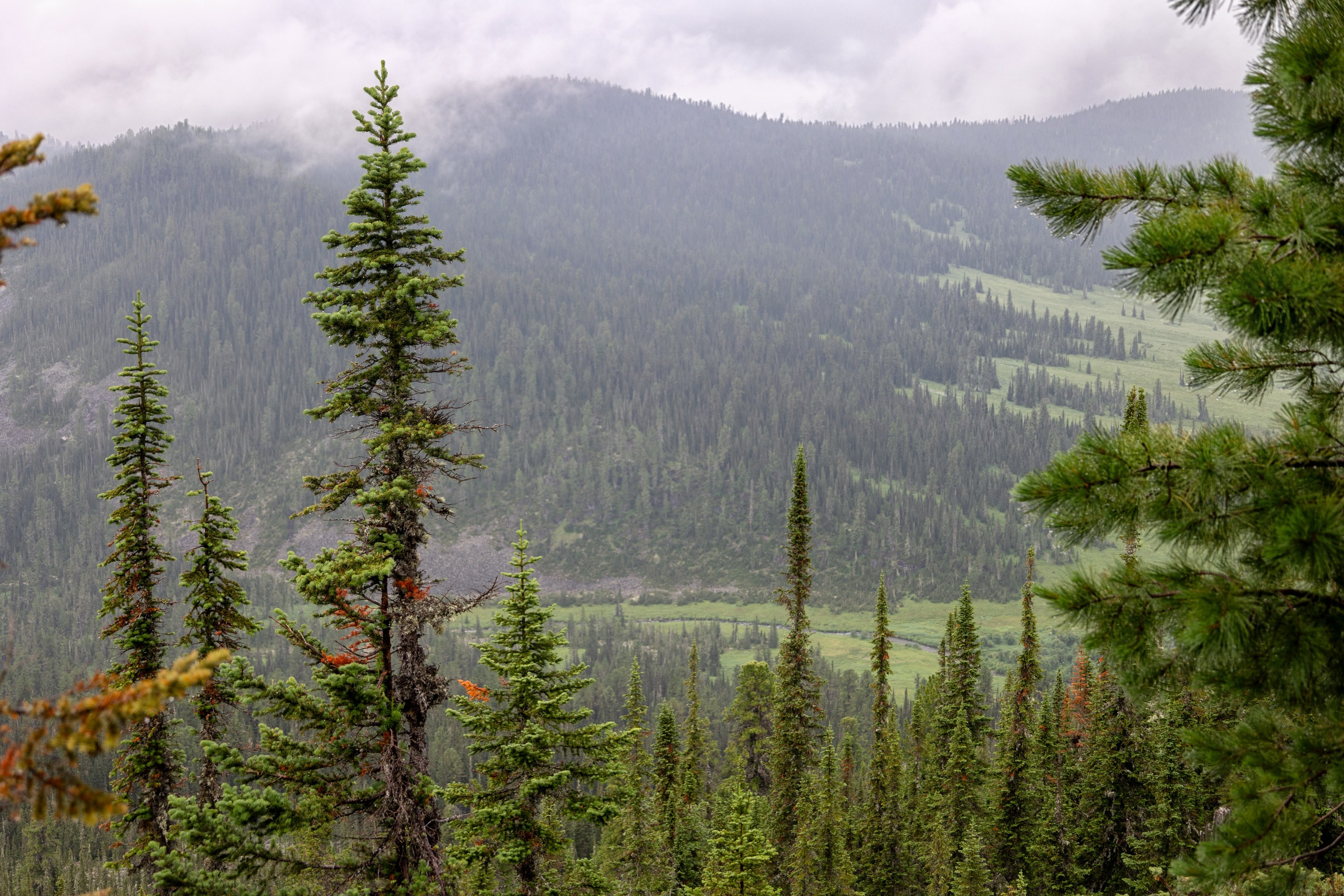 Ергаки. Семейный и детский фотограф в Красноярске, Дивногорцева Светлана