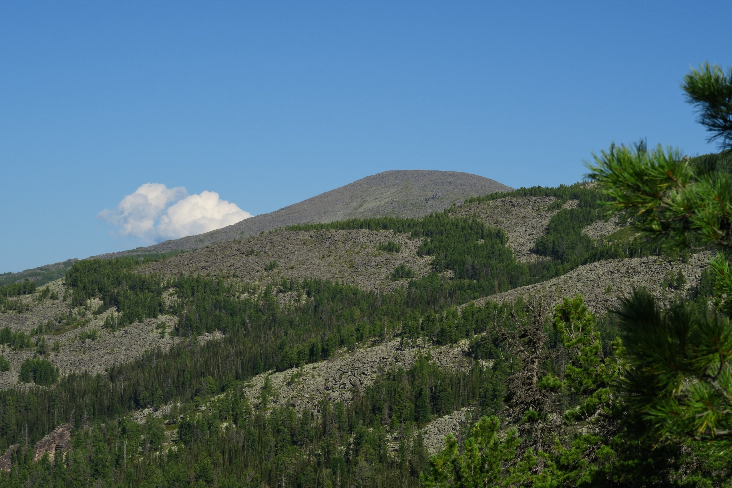 Кутурчинское белогорье, Манские столбы, гора Баян, гора Алат, река Мана. Фото на документы в Красноярске