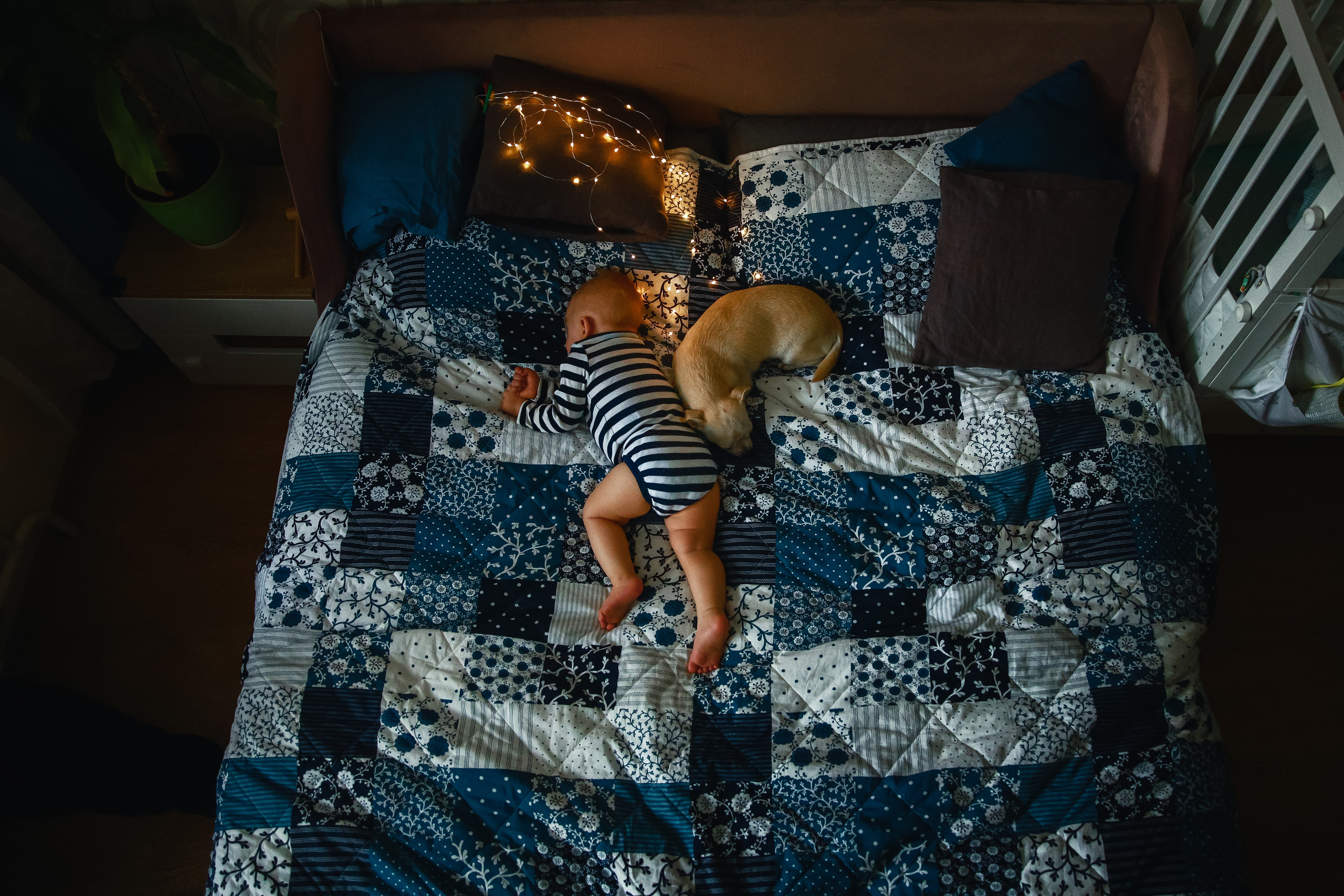 Антон Анна Матвей. Детский и семейный фотограф в Москве Алёна Шестунова