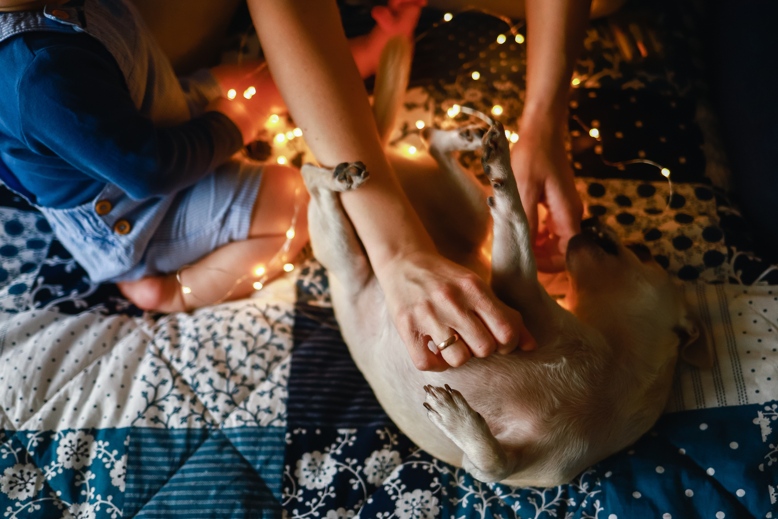 Антон Анна Матвей. Детский и семейный фотограф в Москве Алёна Шестунова