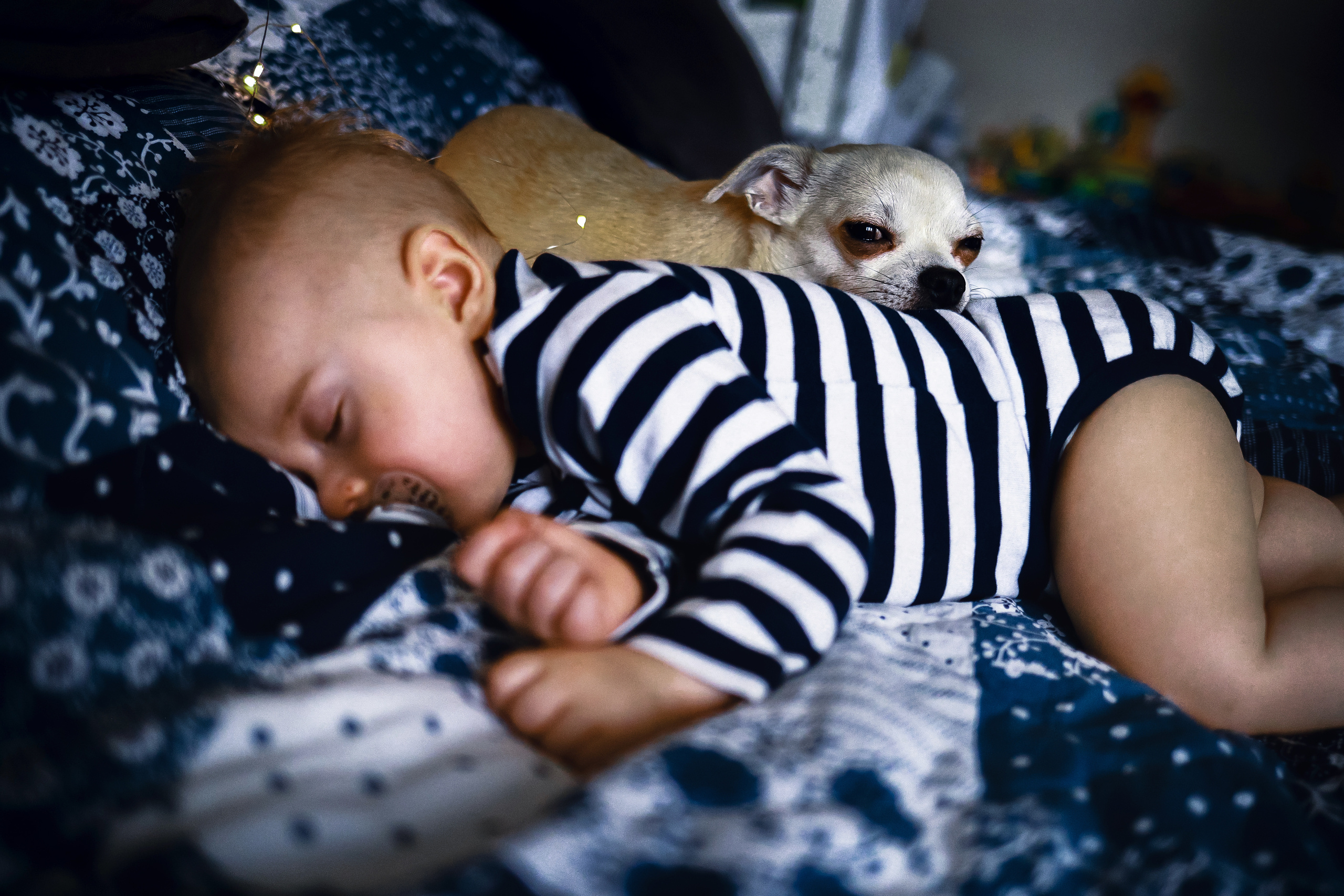 Антон Анна Матвей. Детский и семейный фотограф в Москве Алёна Шестунова