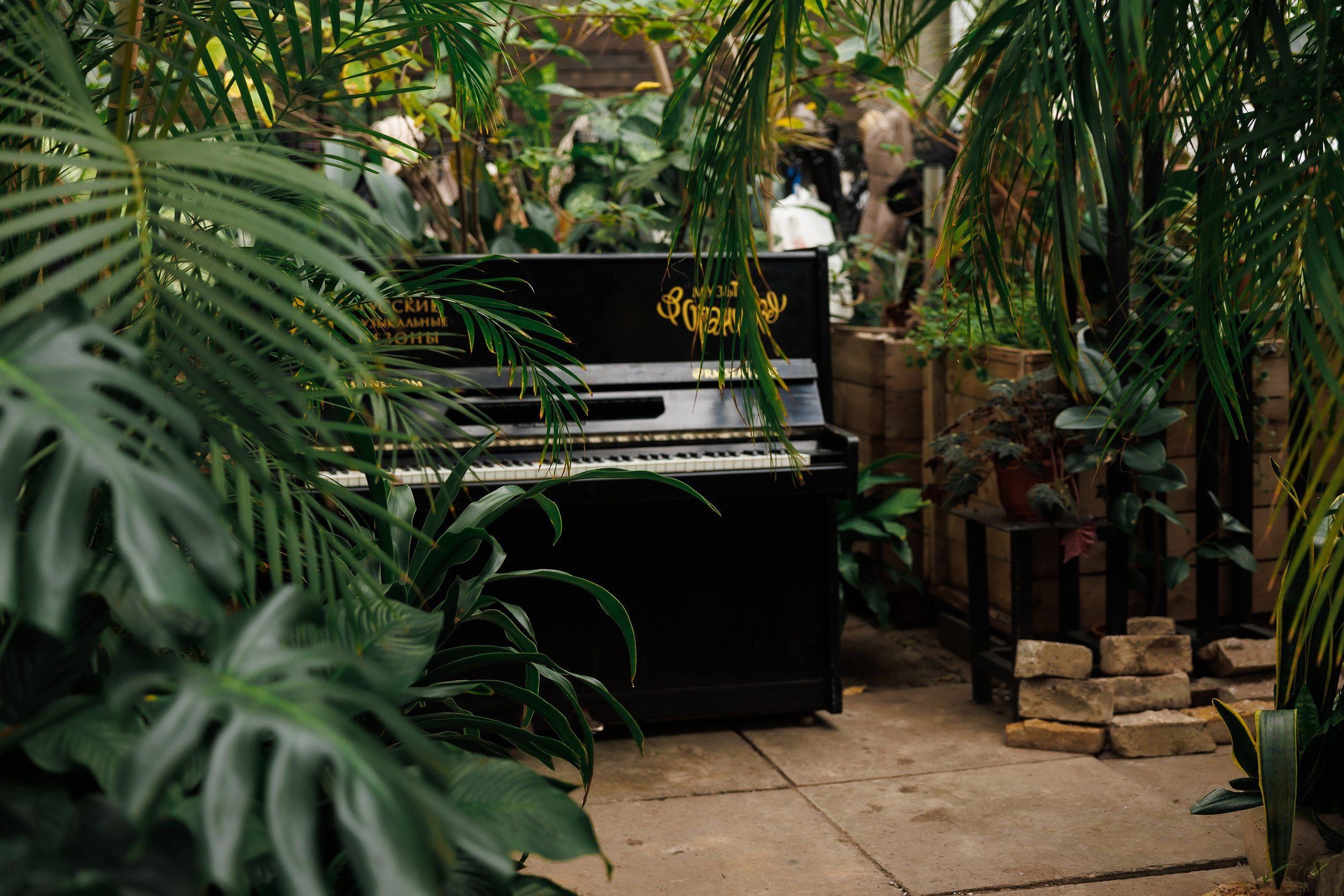 Свадебная прогулка в оранжерее. Питер. Свадебный и семейный фотограф в Москве Красинская Мария