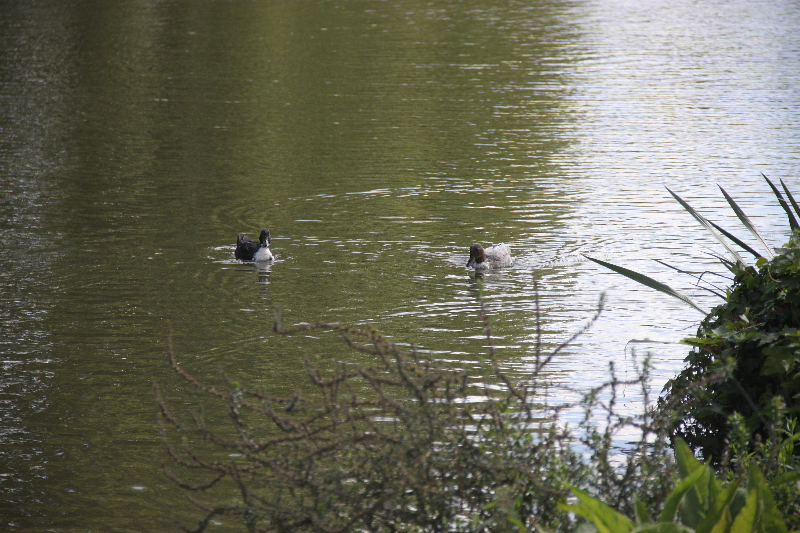 Bruges, Belgium. Andrey Filippov Photographer