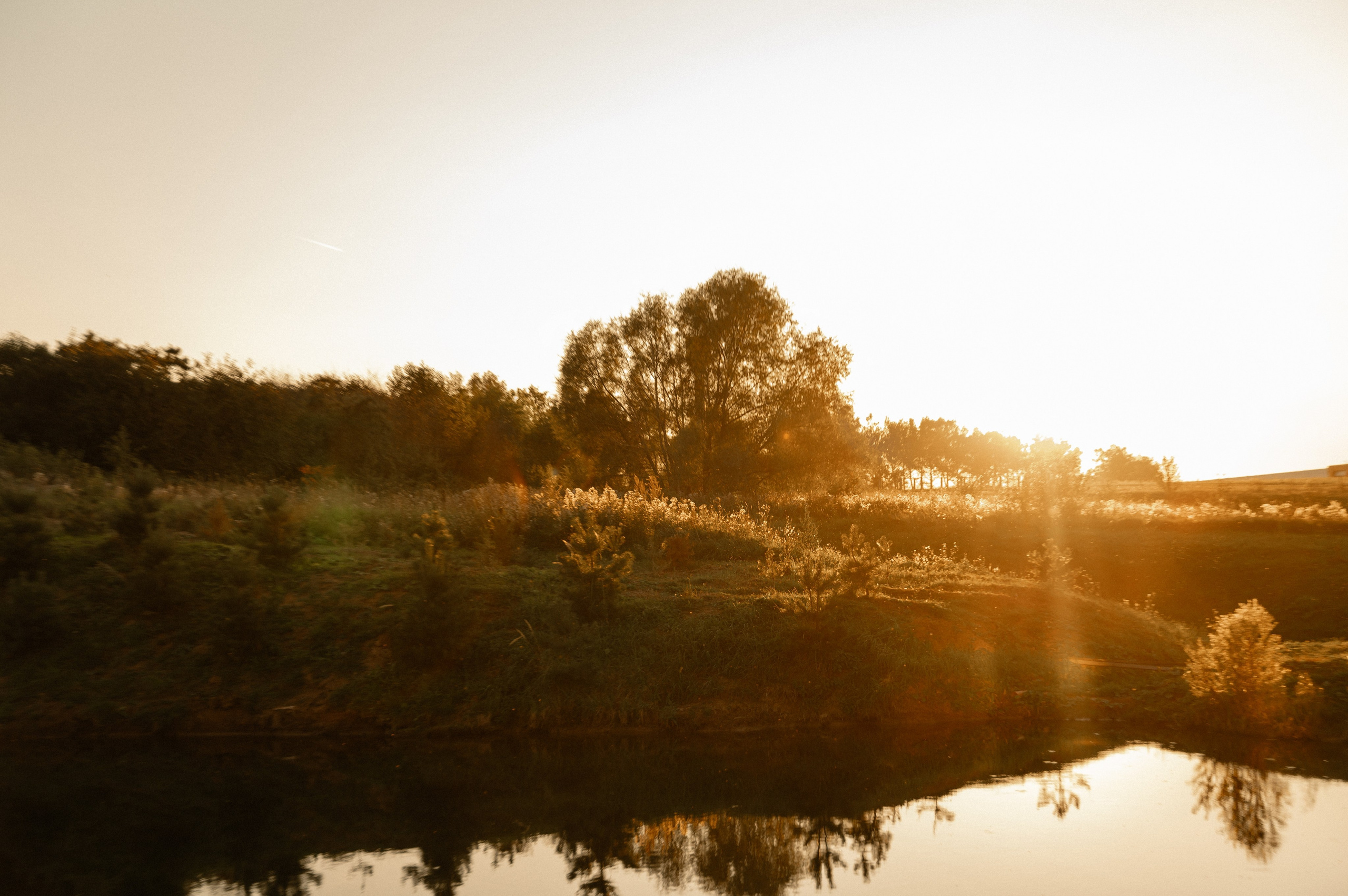 Свадебная съёмка. Свадебный и семейный фотограф в Чебоксарах Ирина Левнер
