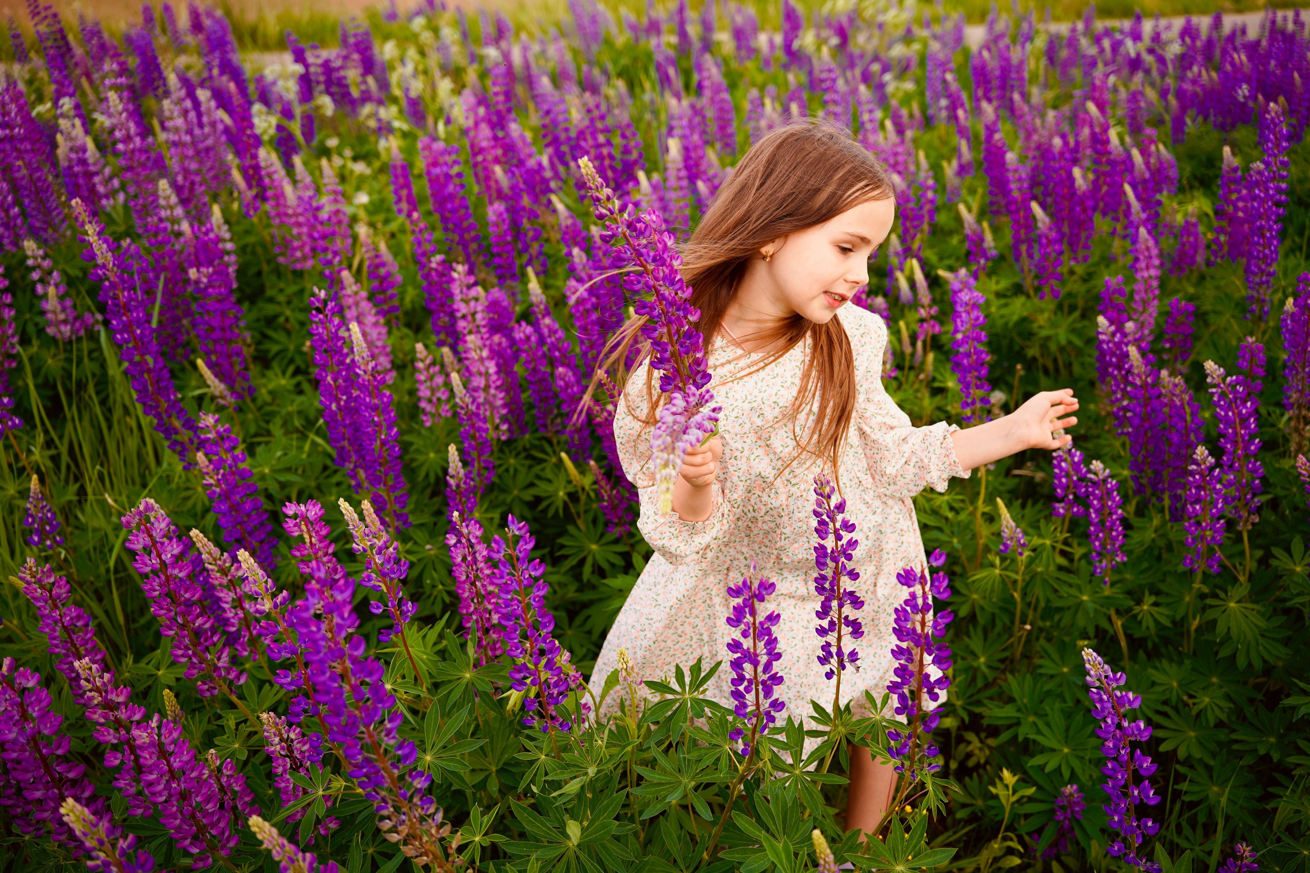Когда цветут люпины. Семейный и детский фотограф Александра Гвоздикова