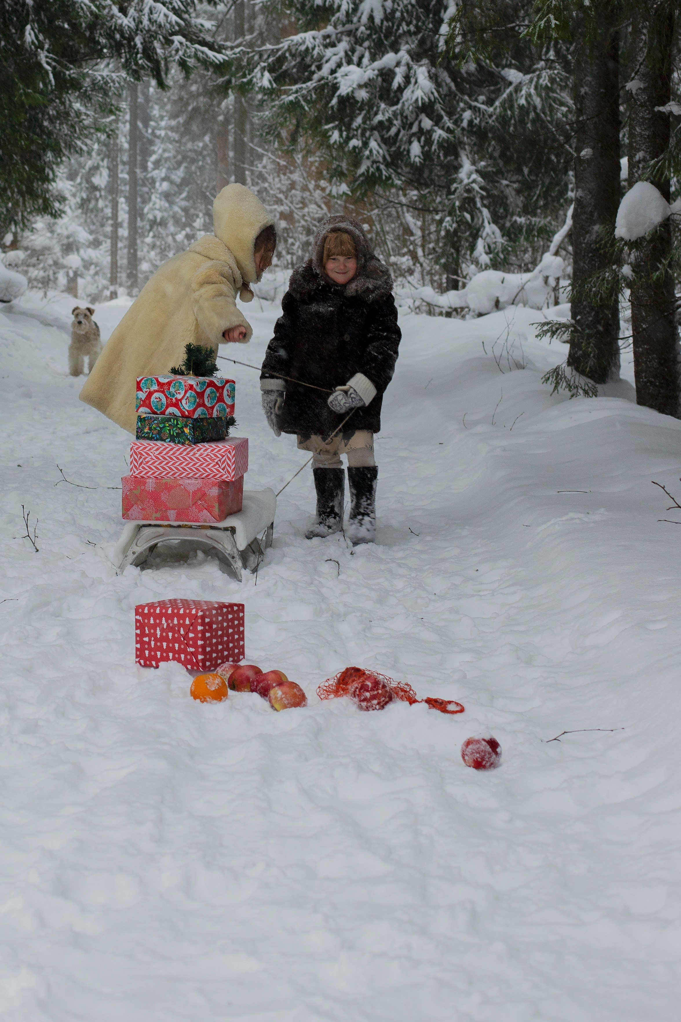 Зимний лес. Семейный и детский фотограф Кривутина Юлия