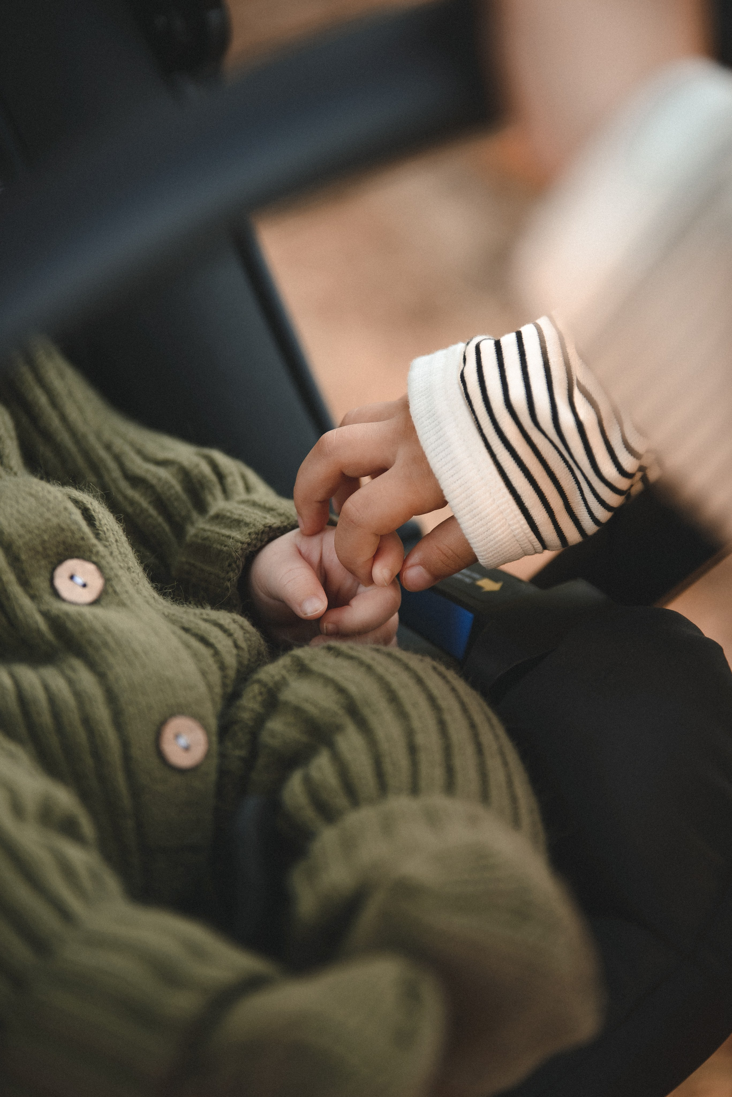Семейная прогулка в ботаническом саду. Семейный фотограф в г. Ставрополь, Сорокина Мария