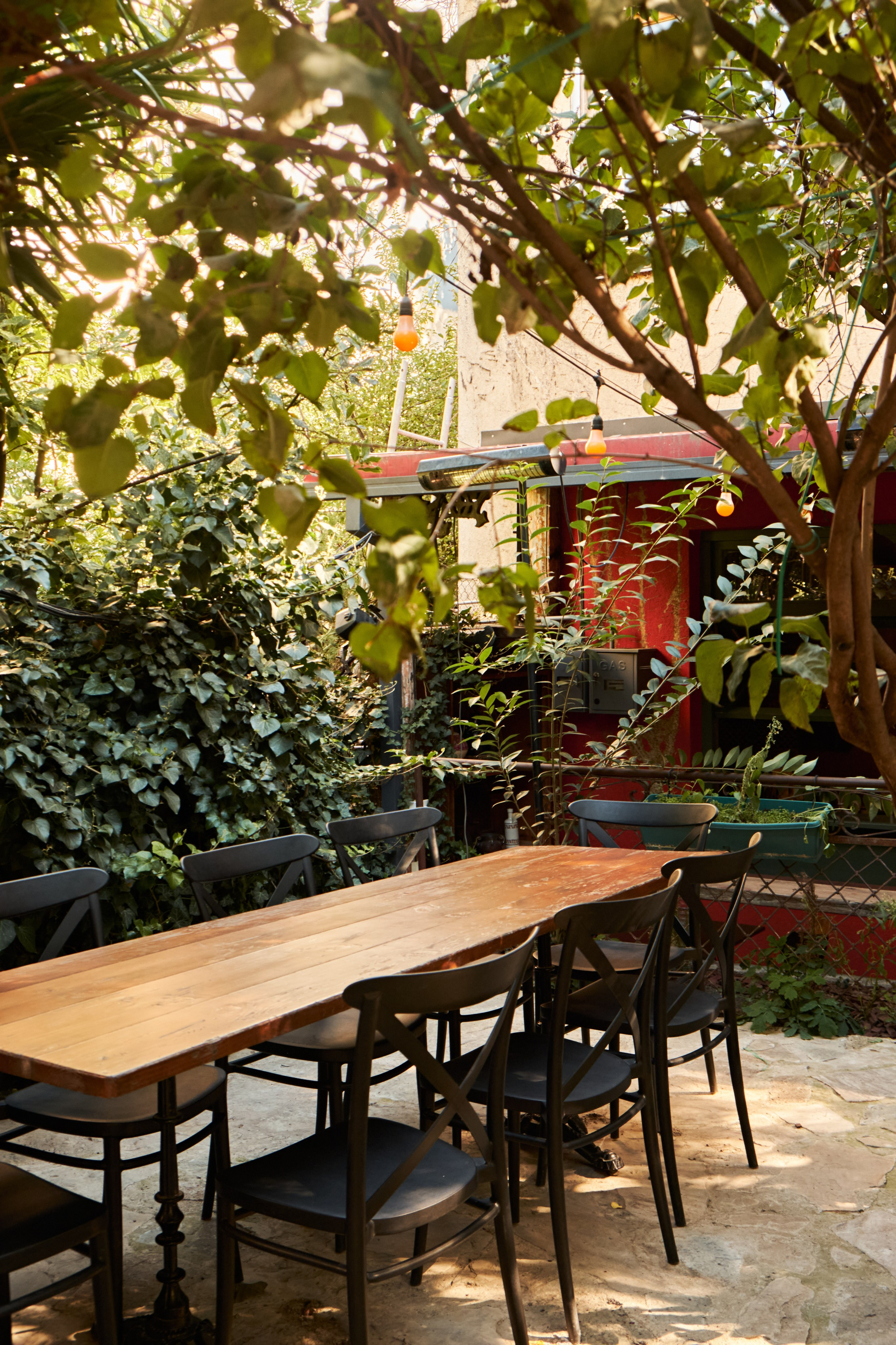 ORA MAKASHVILEBTAN. Commercial Photographer in Tbilisi: Food, Interior, Product