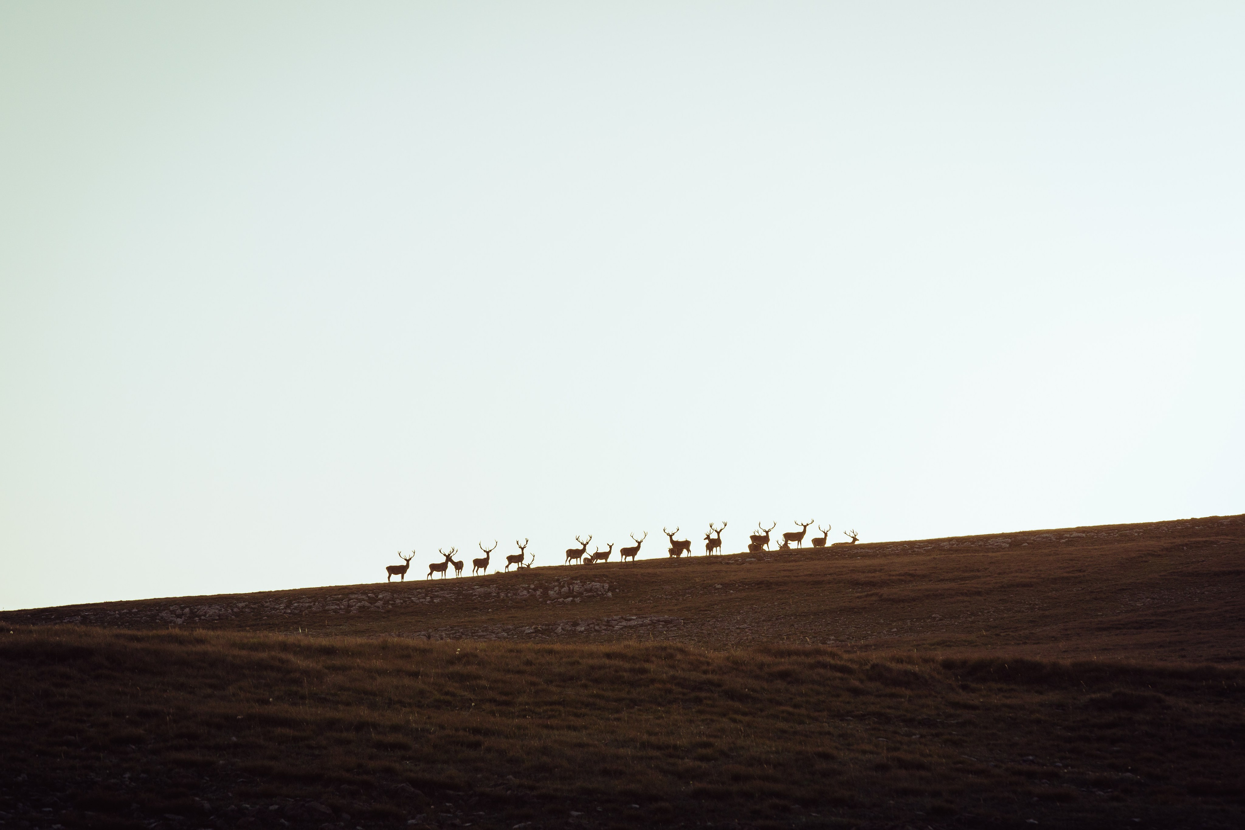 Универсальный фотограф в Крыму
