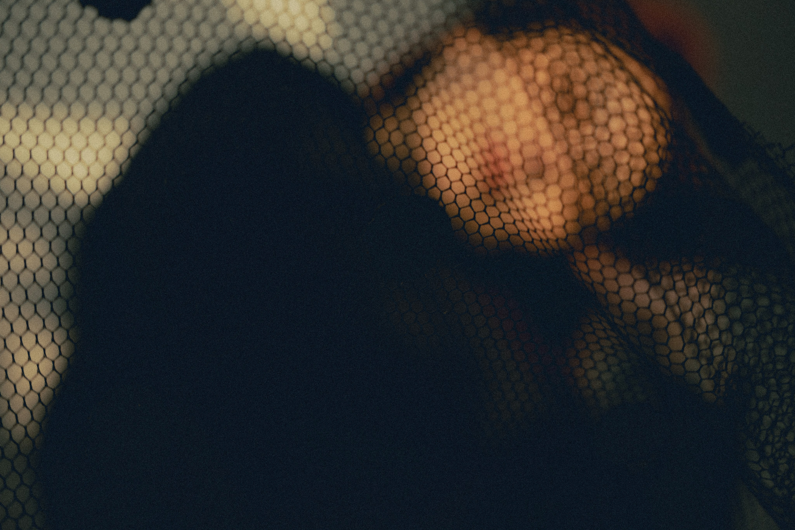 Женский портрет в студии — естественный и искусственный свет. Фотограф в Хабаровске Дмитрий Лемешков