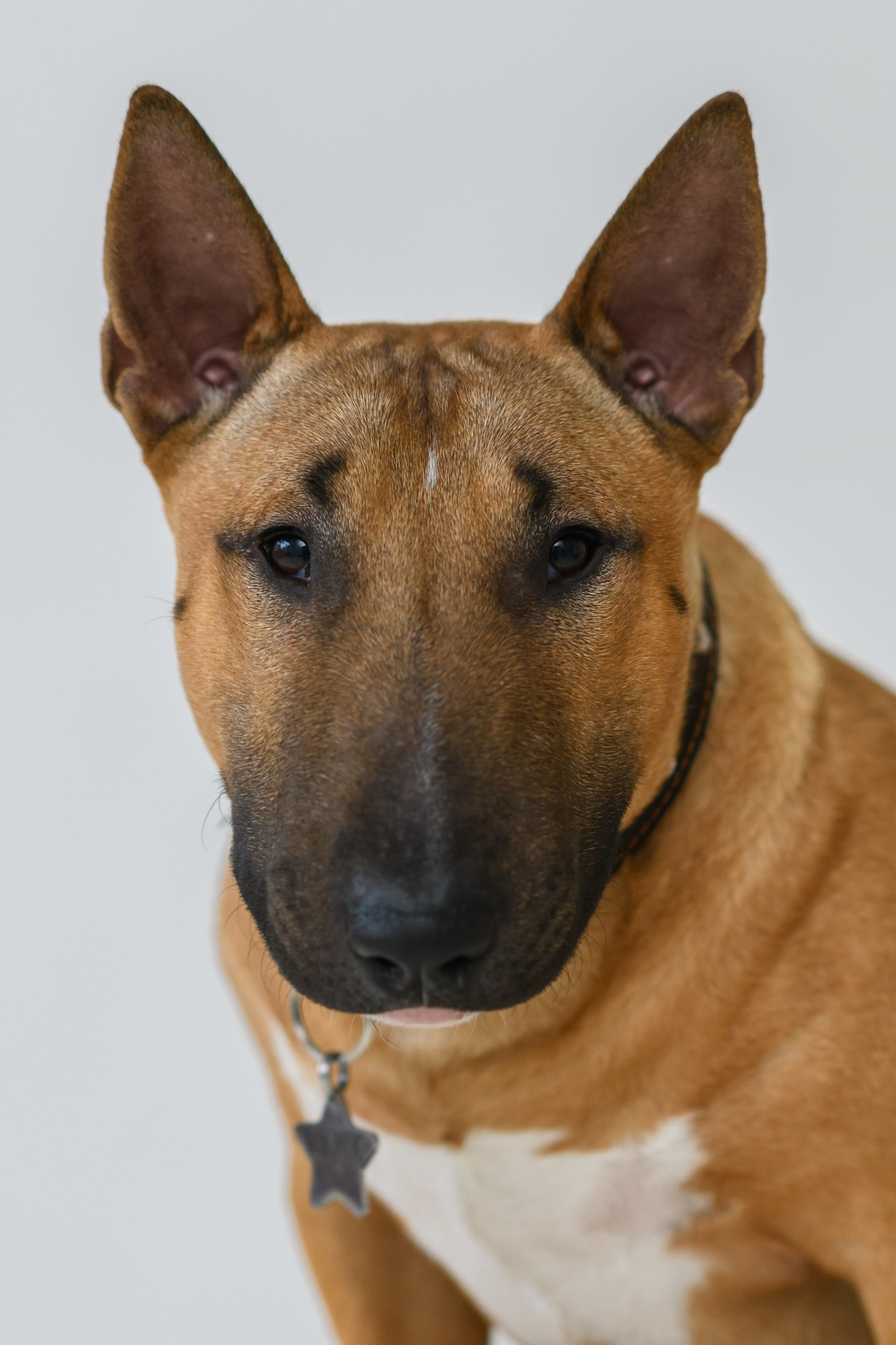 Отзывы о прошедшей фотосессии