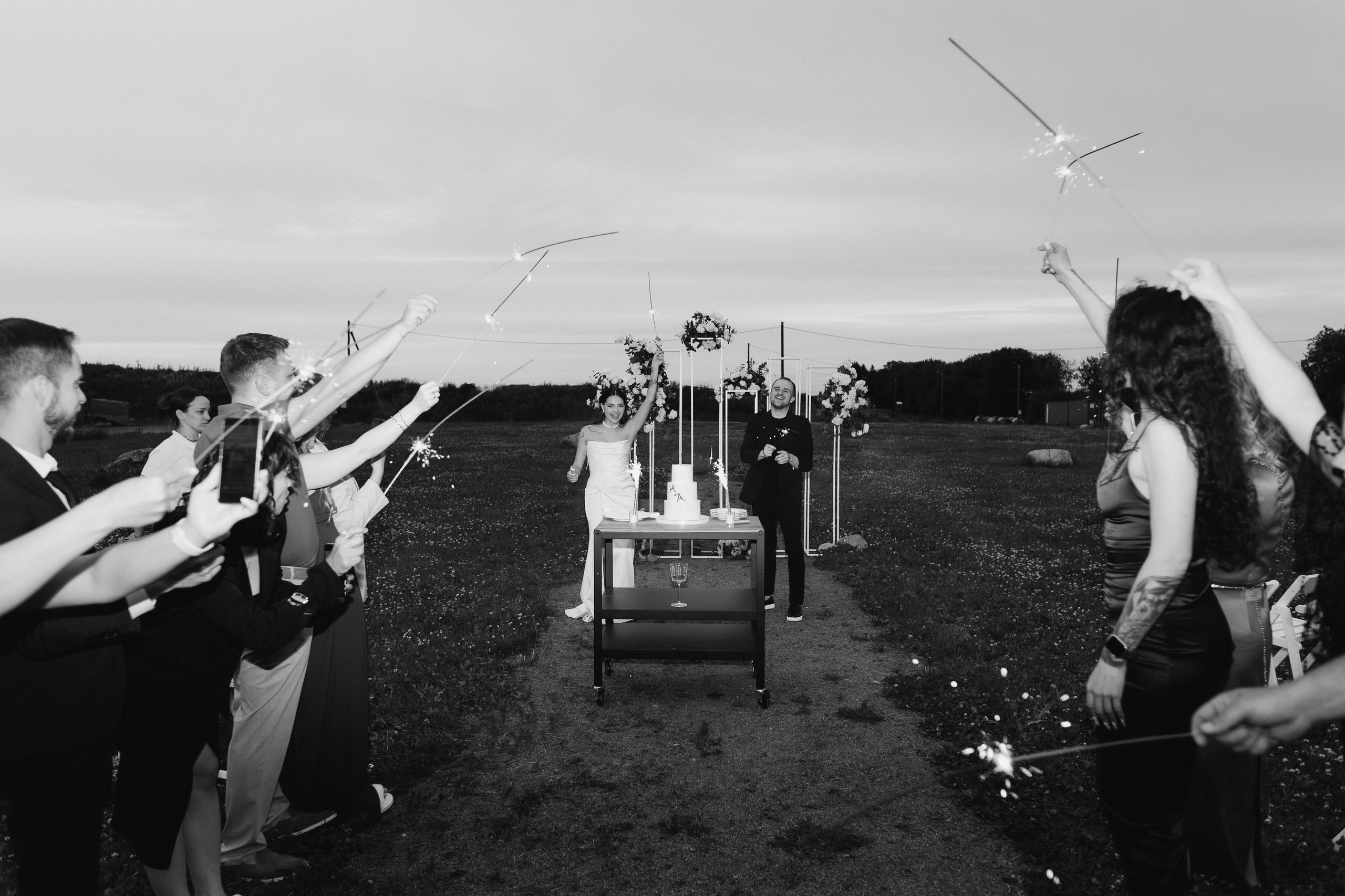 Выездная регистрация+банкет. Фотограф ПИТЕР СПБ Надежда Баранова