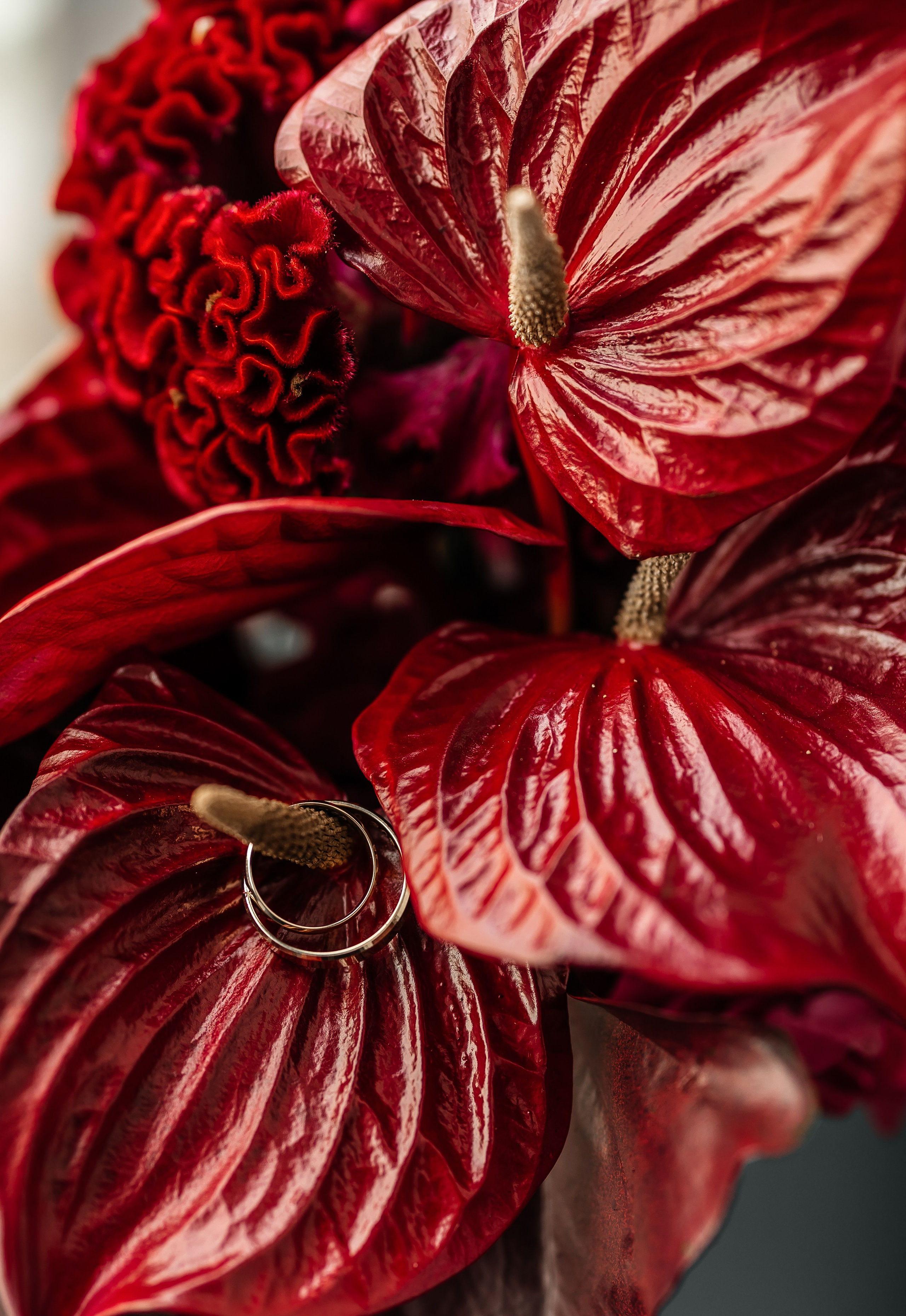 Юрий & Дарья | 06.06.25. Свадебный и семейный фотограф в Омске Евгения Хакимова