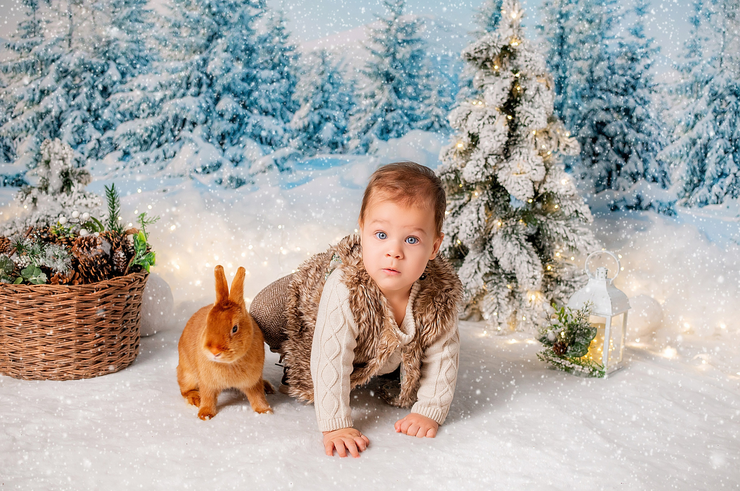 Новогодняя семейная фотосессия в Краснодаре 2023-2024. Фотограф новорожденных Краснодар Малышенко Надежда