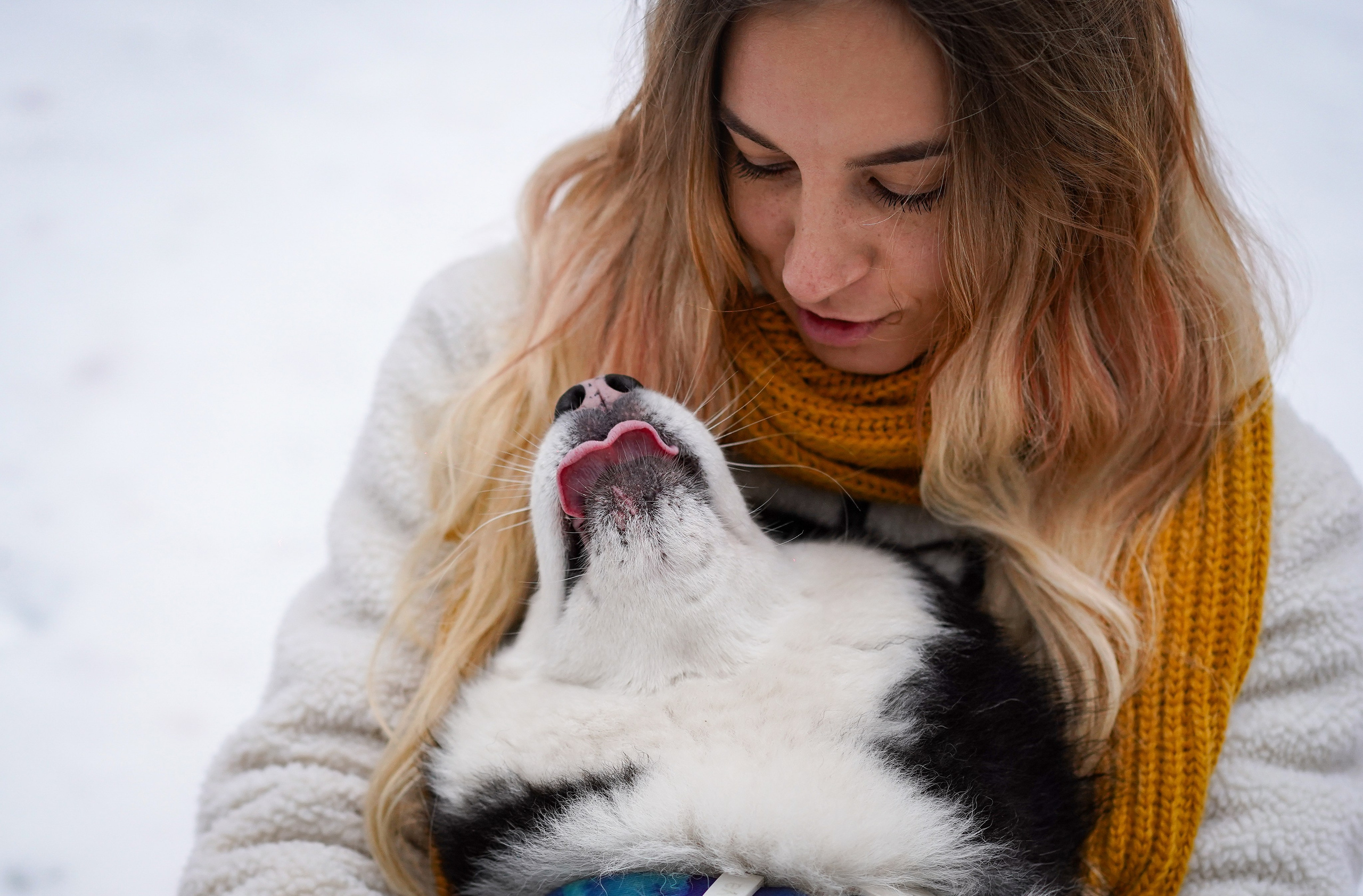 Лора Джанго и Хэппи. Фотограф-анималист в Санкт-Петербурге Яна Мартынова
