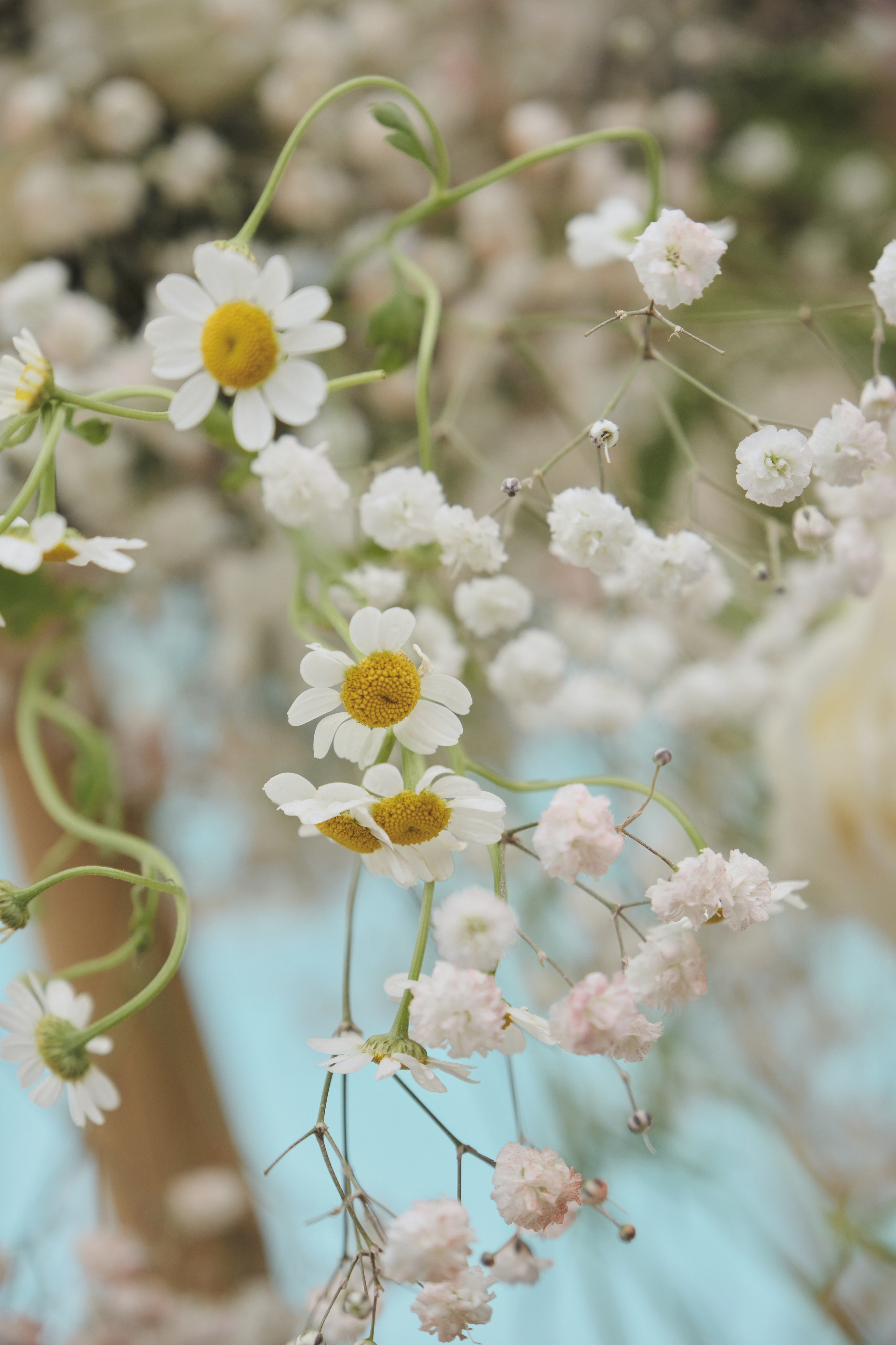 Дарья и Максим. Фотограф в Москве и Санкт-Петербурге