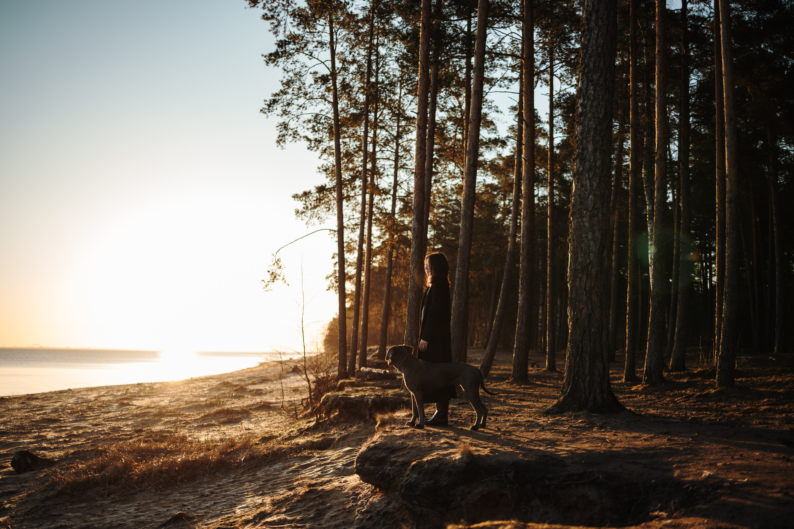 Анна и Лана. Фотограф — Анималист | Санкт-Петербург