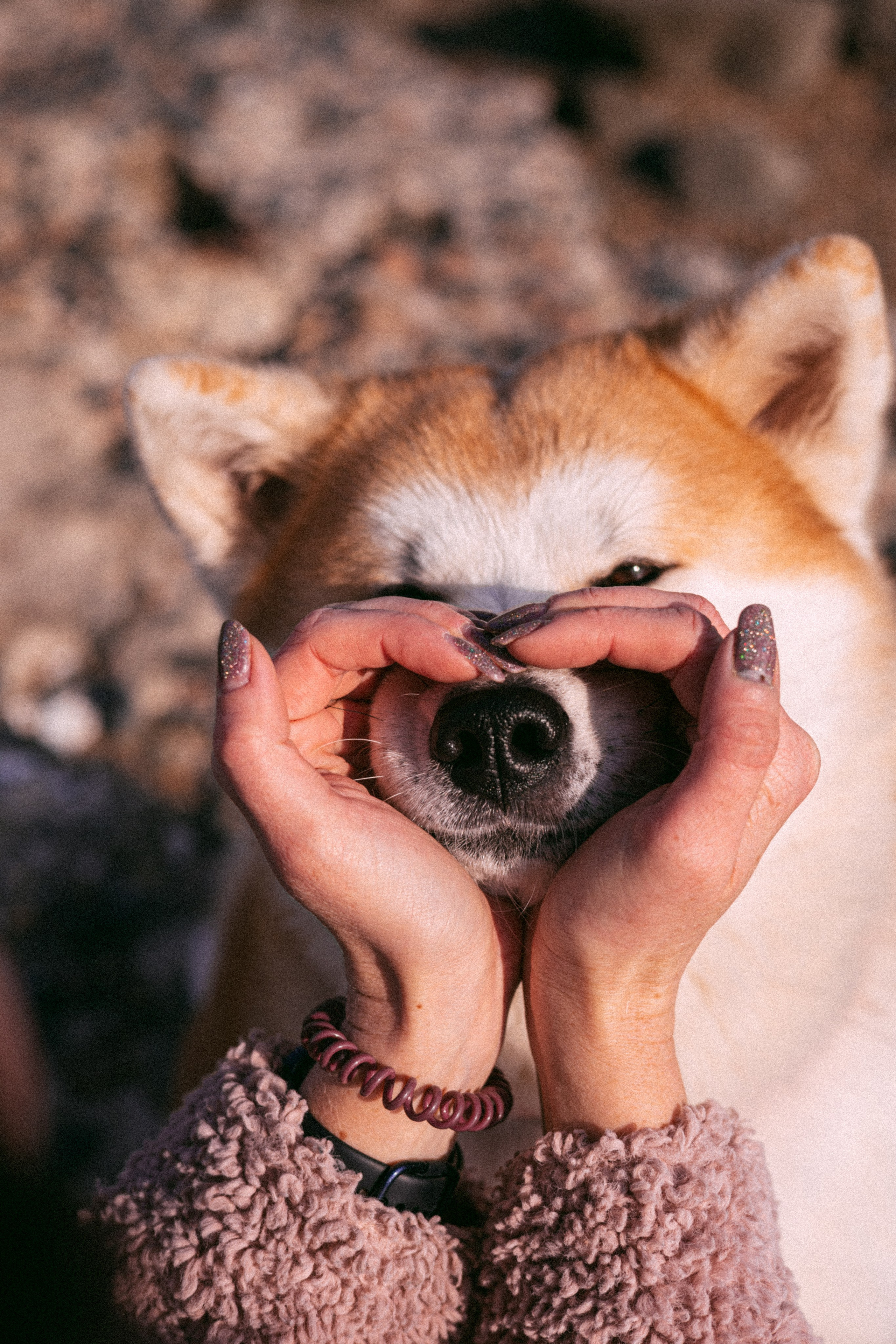 Мария и Бейла. Фотограф — анималист Владивосток, Алина