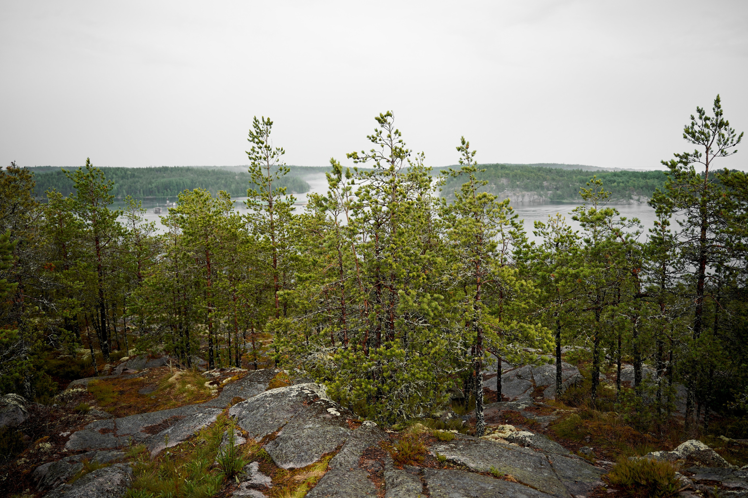 Ладога 2024. Семейный и детский фотограф Александра Гвоздикова