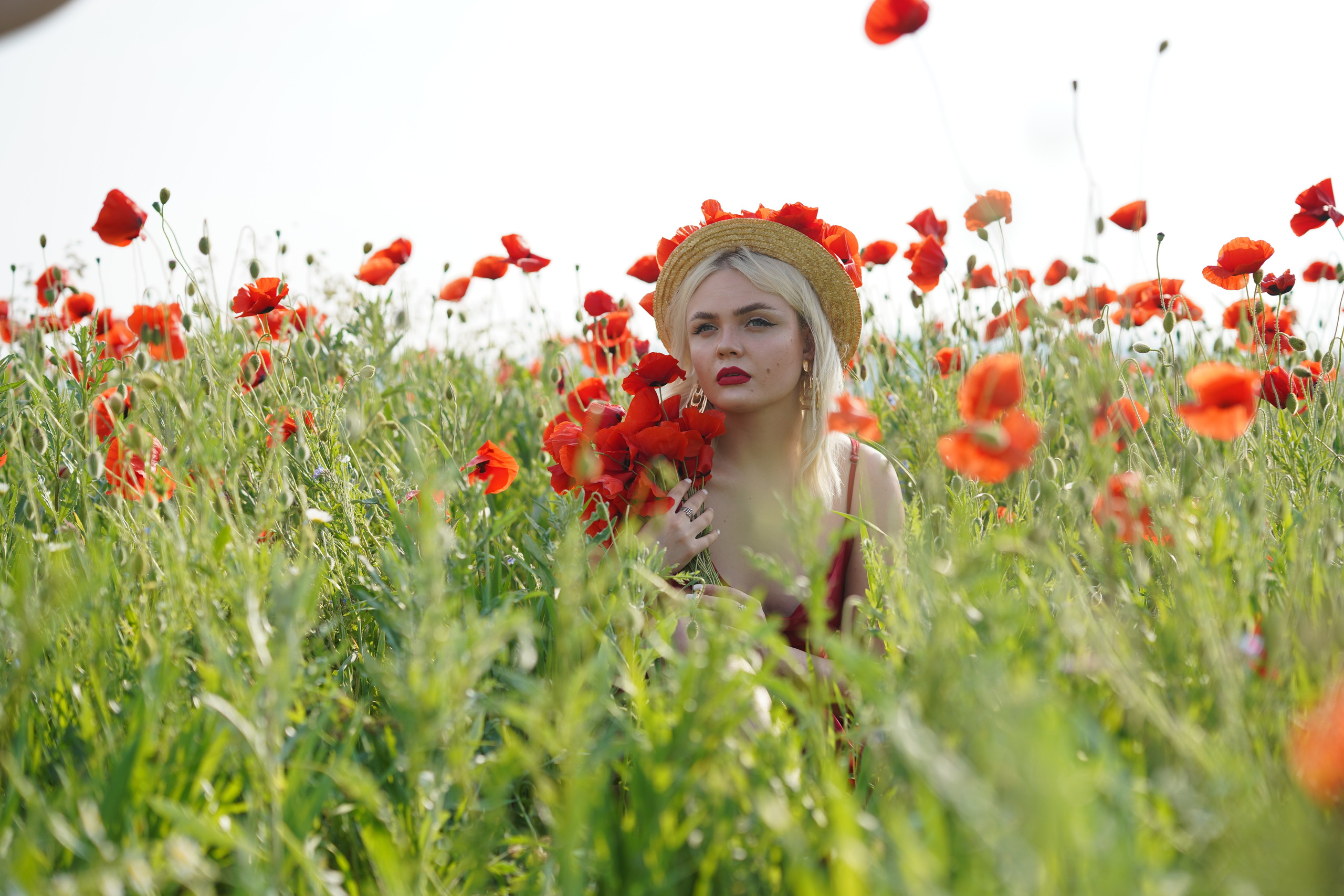 Фото в маковом поле. Фотограф Елена — Севастополь, Крым, Москва