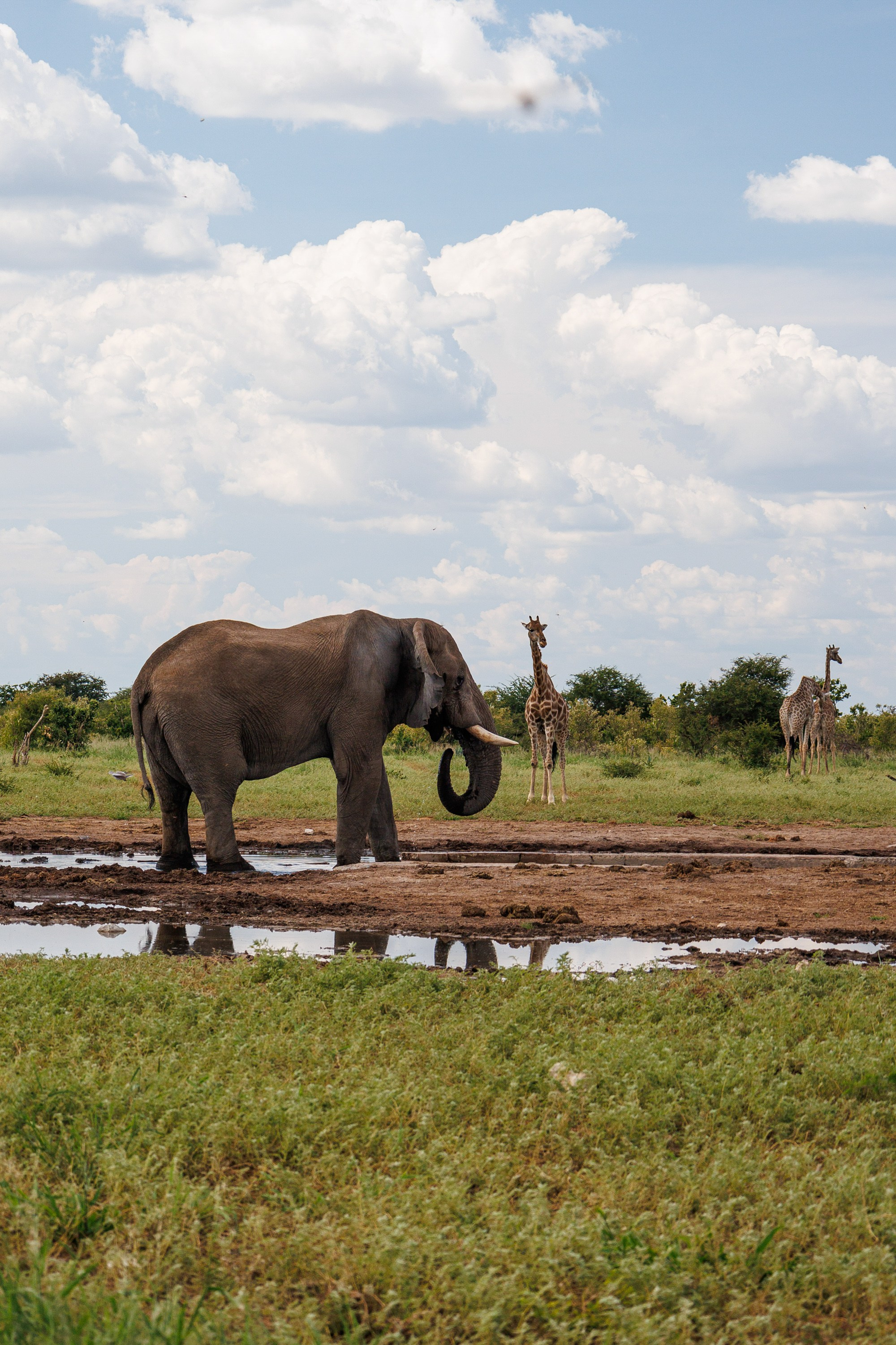 НАМИБИЯ. Роадтрип