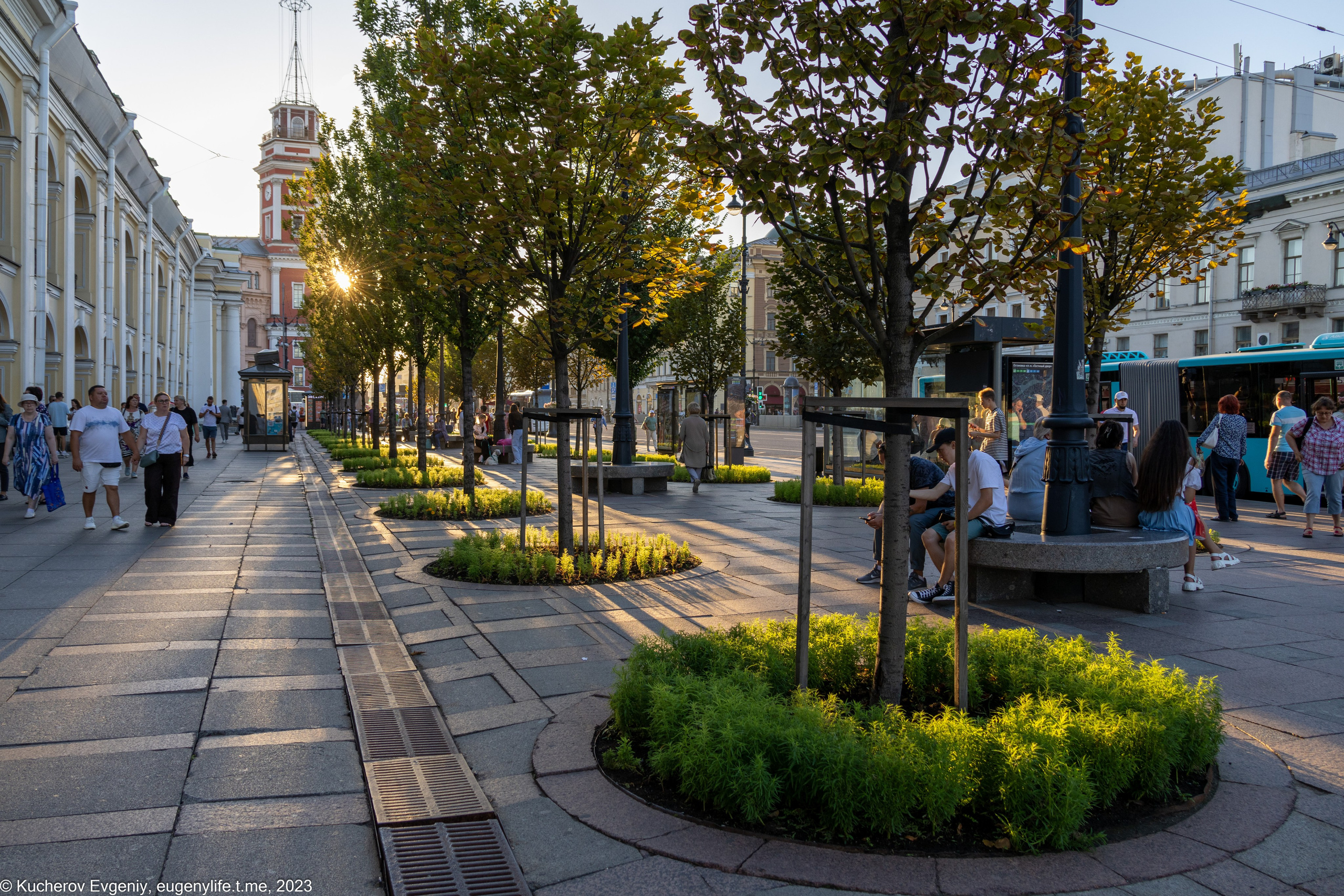 Скамейки. Кучеров Евгений. Фотограф
