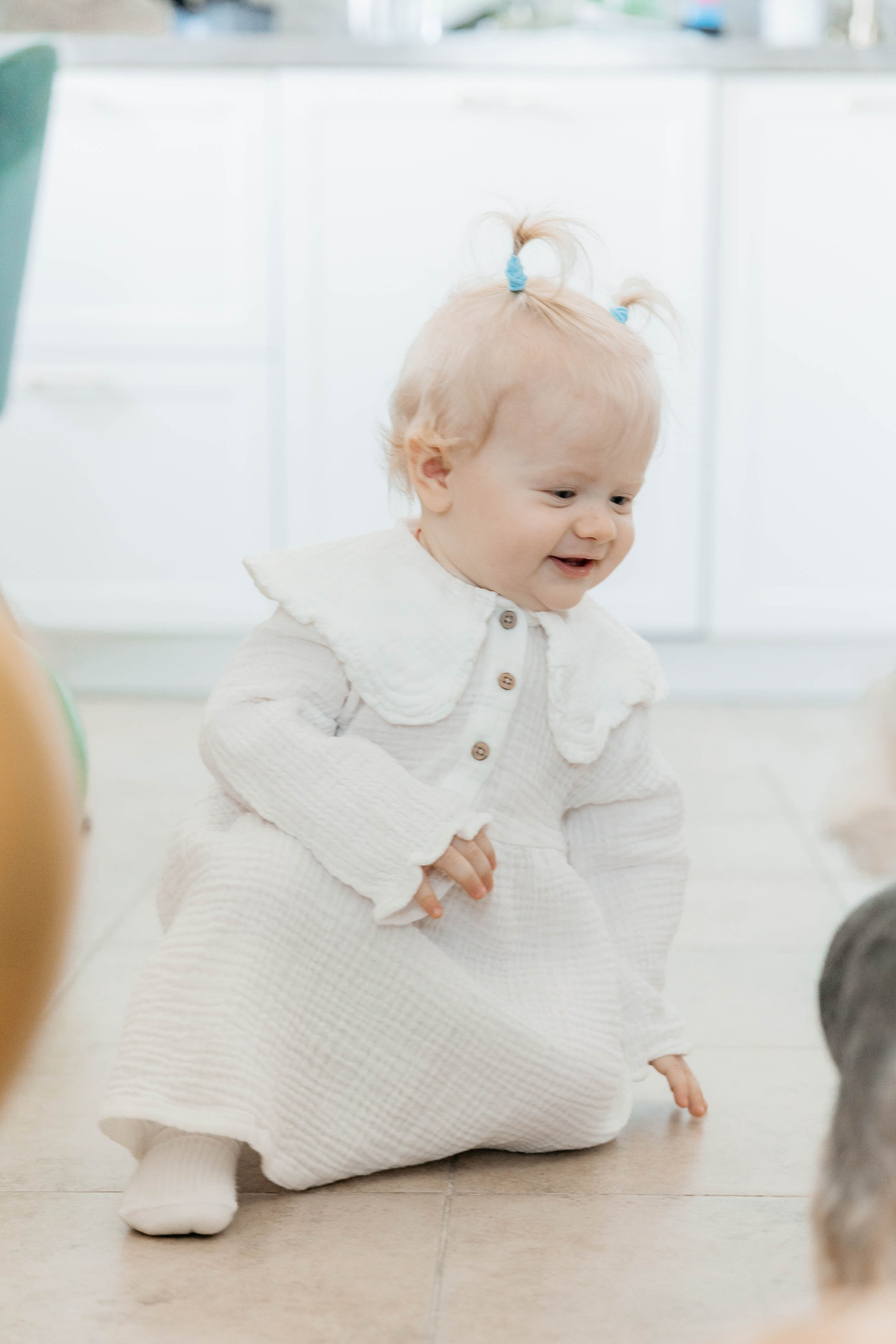 Лев. 2024 г. Персональный фотограф Катерина Литвинова