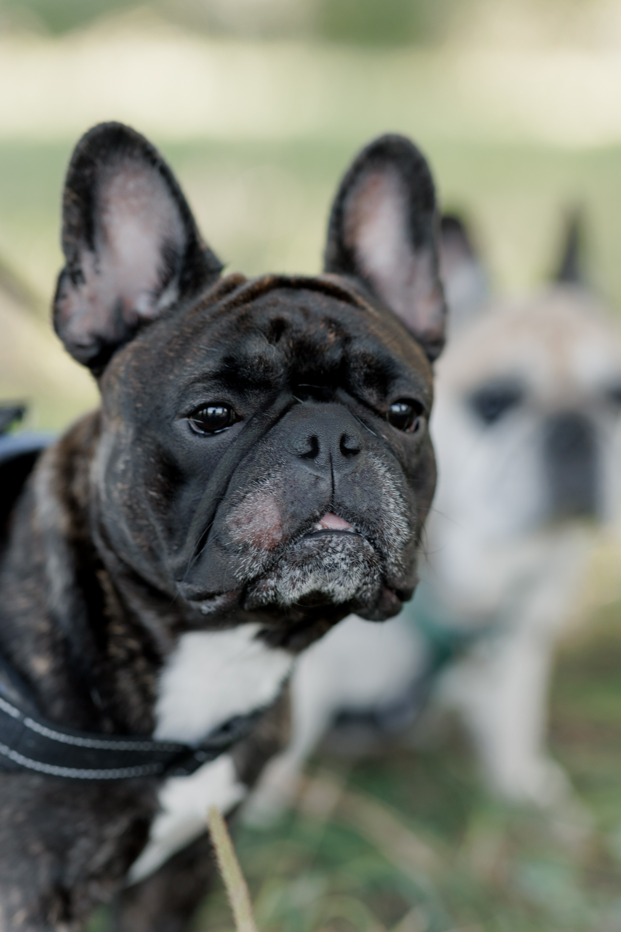 Теплая история в парке. Кравченко Сергей — фотограф для тебя в Москве