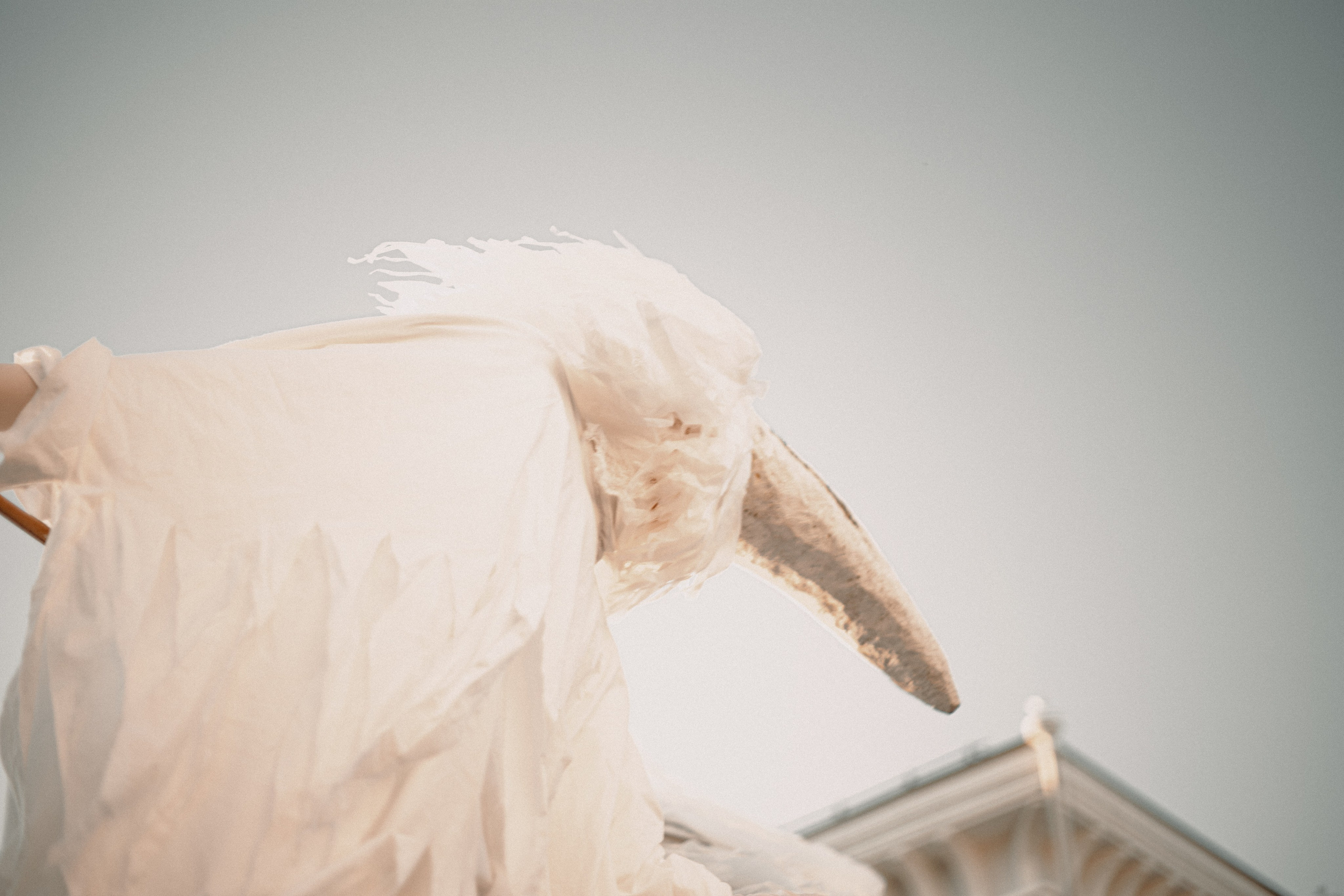 Спектакль «Куриное кабаре» от Свободного молодежного театра | Тобольск. Арт-фотограф Крис Л. в Тобольске: портрет, семейные, свадьбы