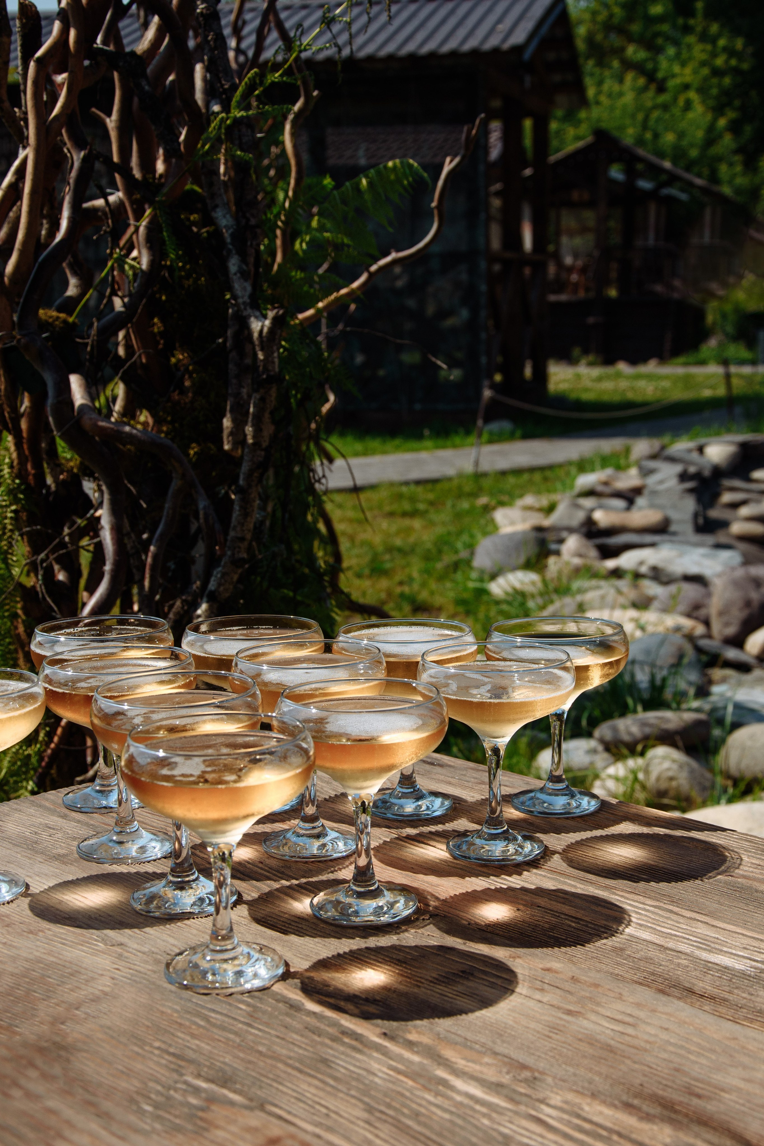 Свадьбы. Фотограф в Барнауле Юлия Александрова