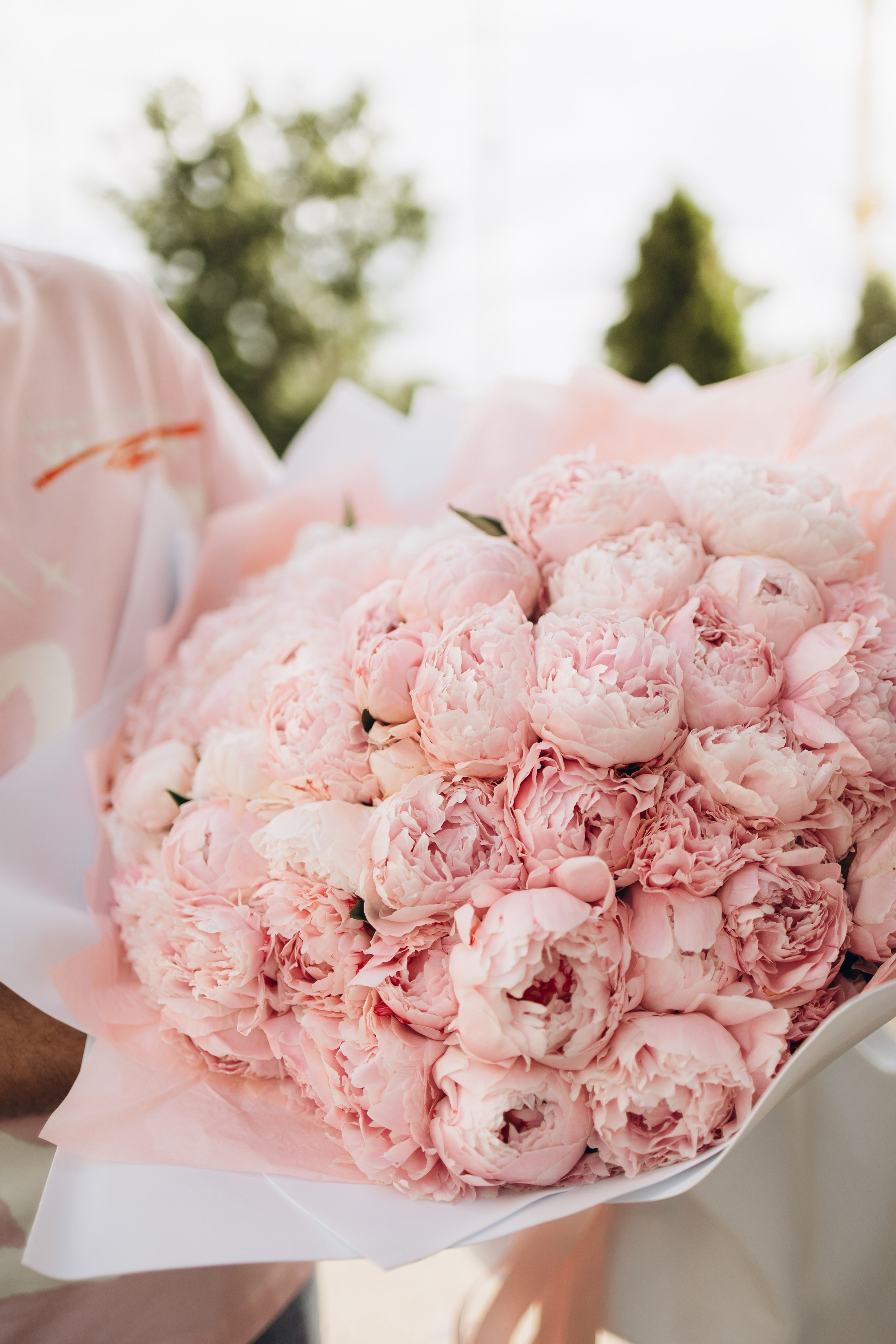 Выписка Виктории. Самый теплый фотограф в Краснодаре Рябоконь Ксения