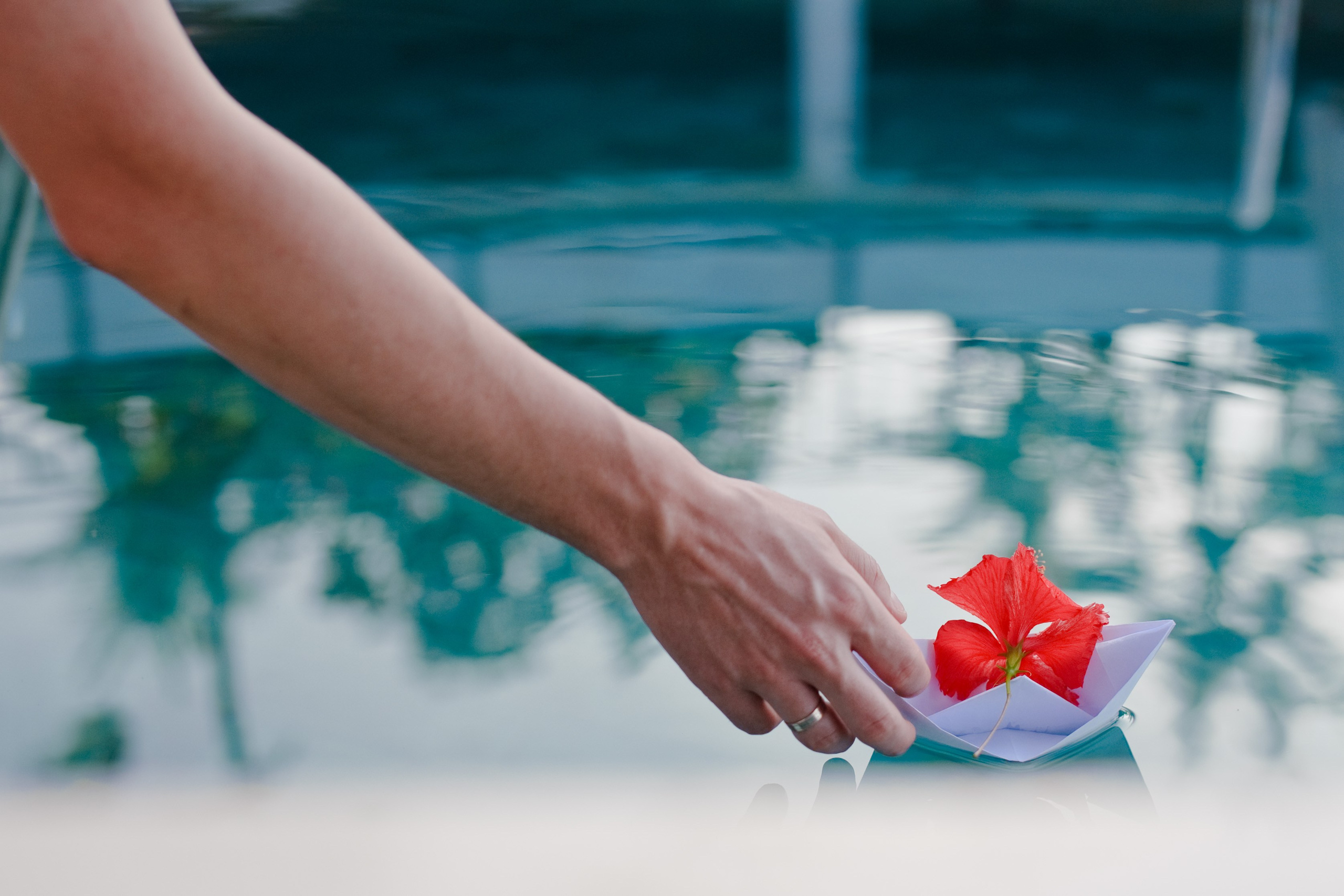 Анастасия и Алексей. Свадьба, Москва — Бали, Индонезия. Семейный фотограф Анна Дубовская