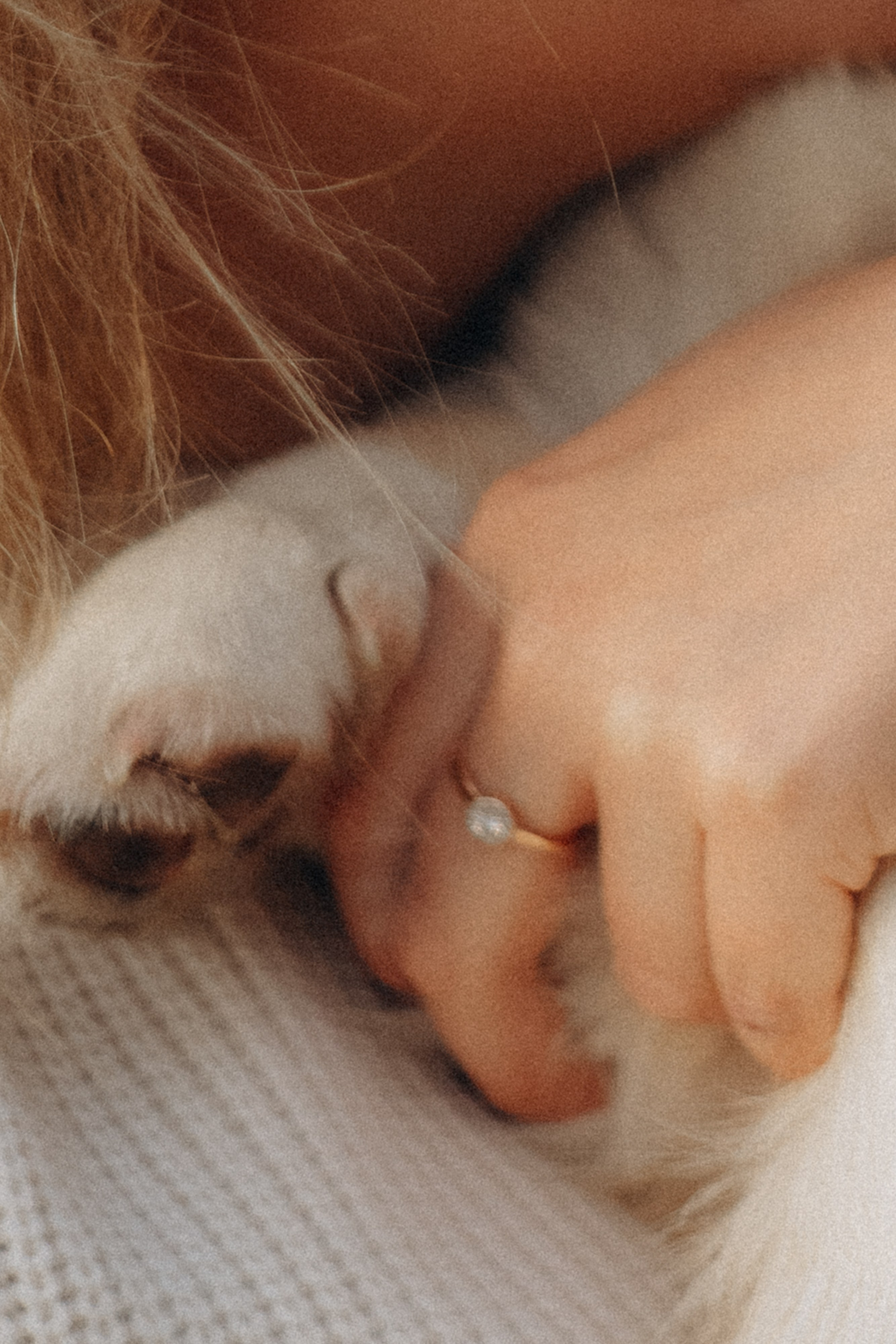 Катя и Берта. Фотограф анималист в Москве и Санкт-Петербурге Свиридова Анна