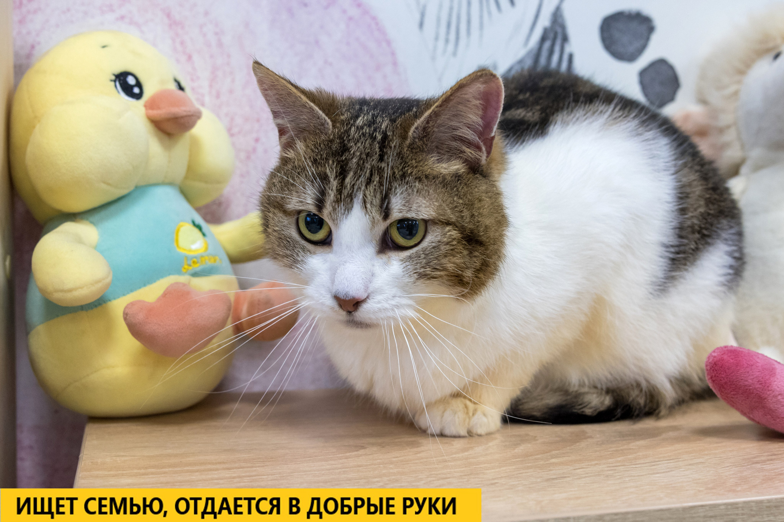 Рекламная съемка в Москве. Геннадий Степанов —фотограф в Москве