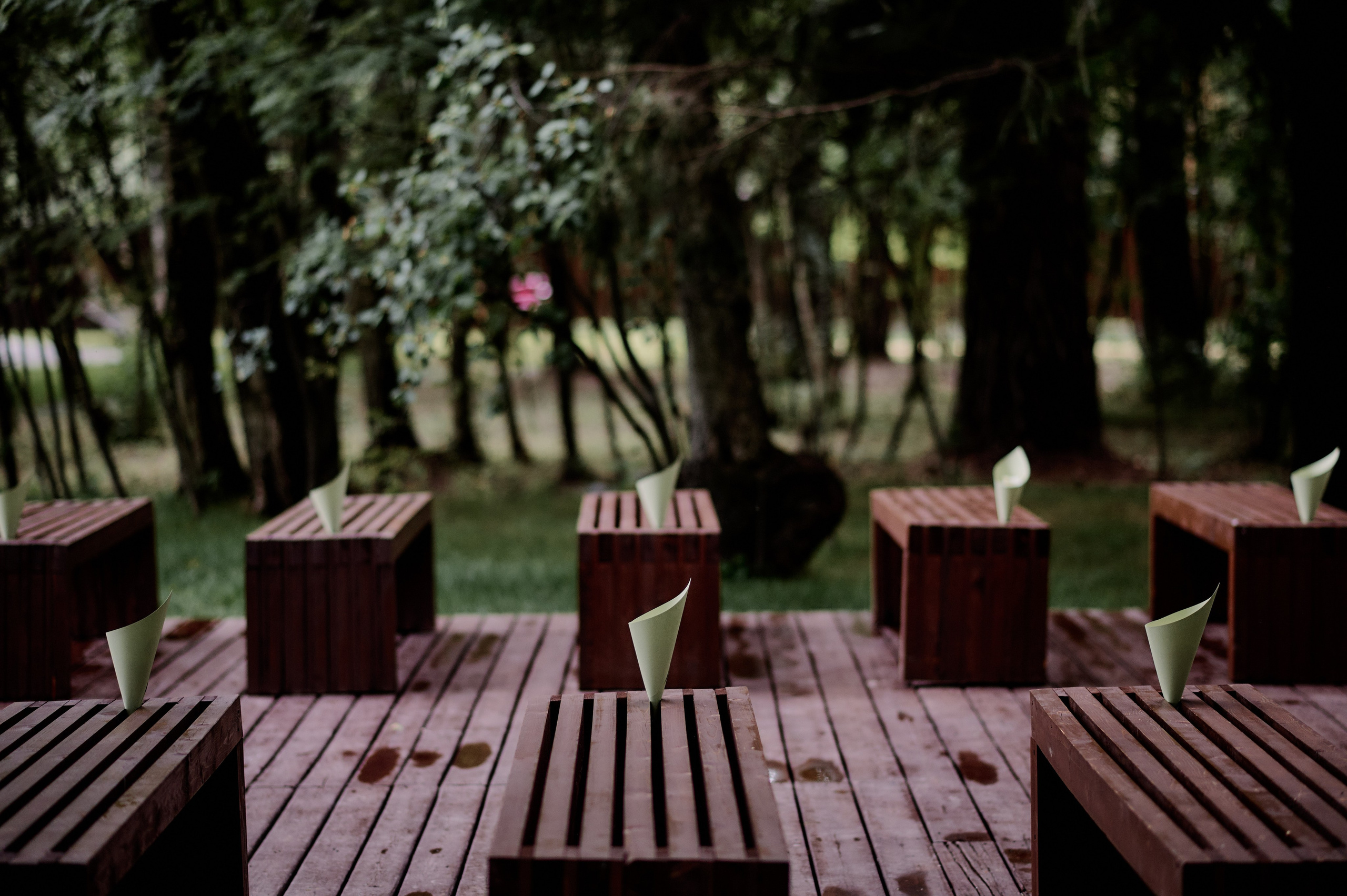 M&L. Свадебный и репортажный фотограф