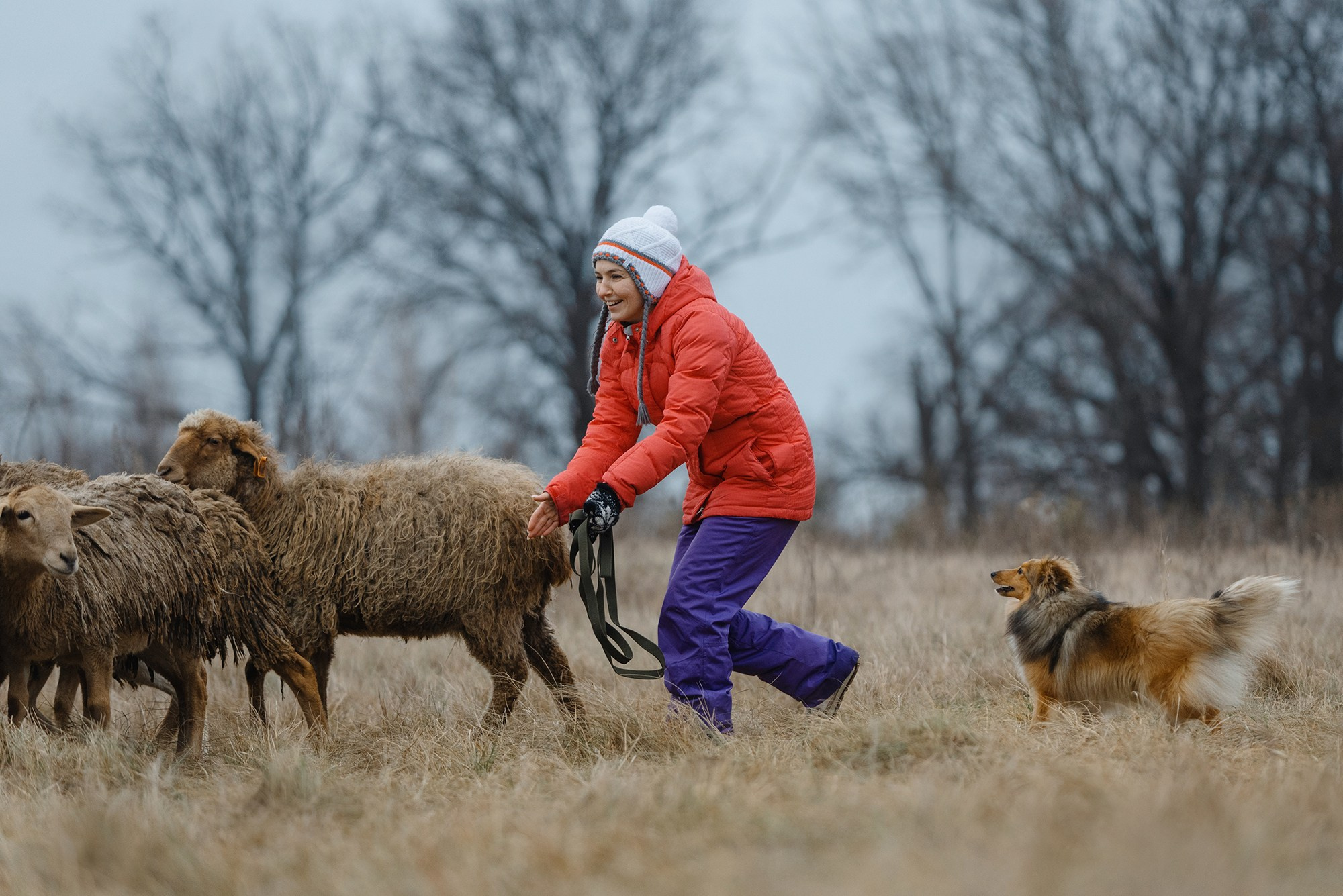 Пастьба. Фотограф Анна Тюрина