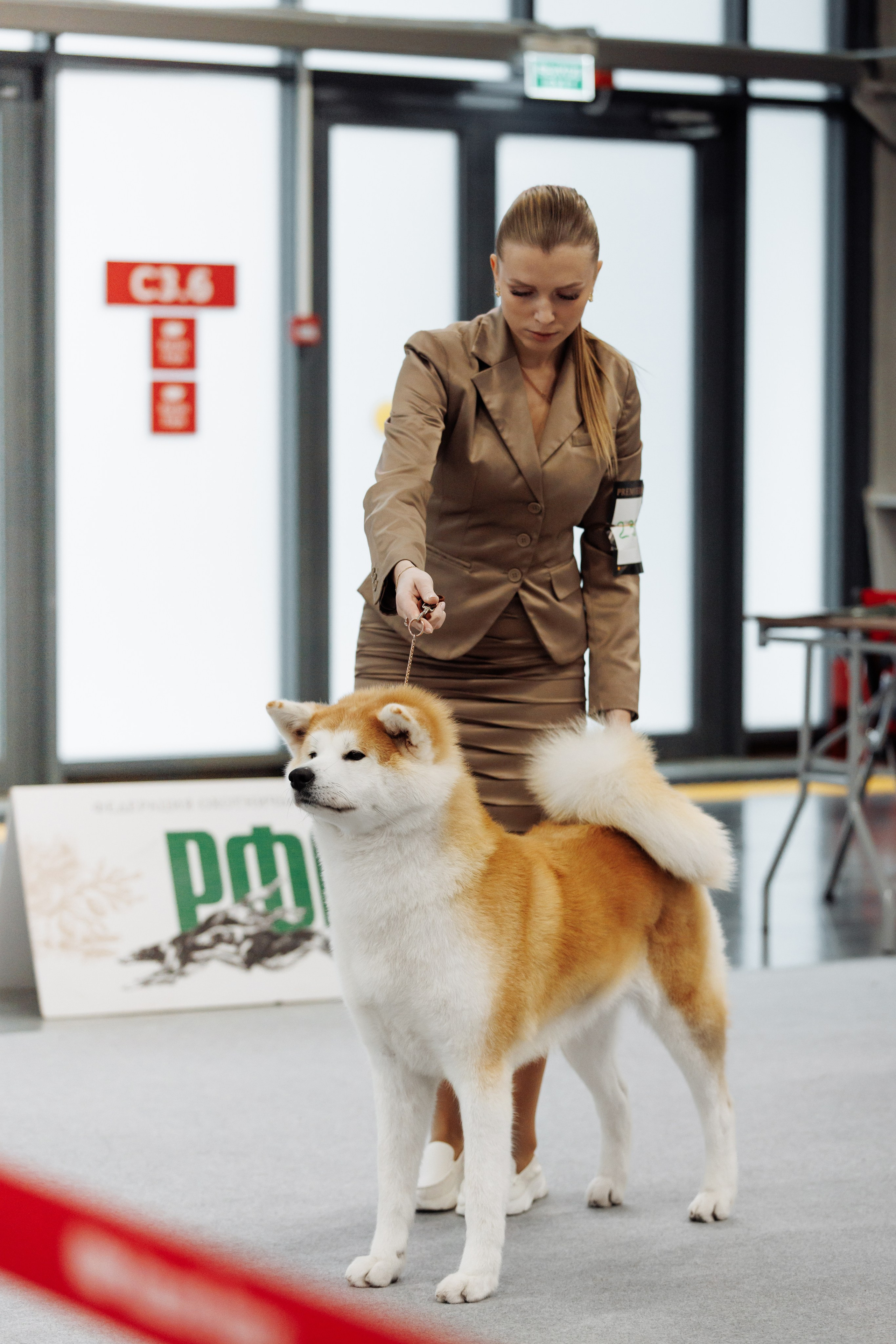 29-30.11.2025 — Казань «Зилант». Фотограф-анималист Саша Вязьмина