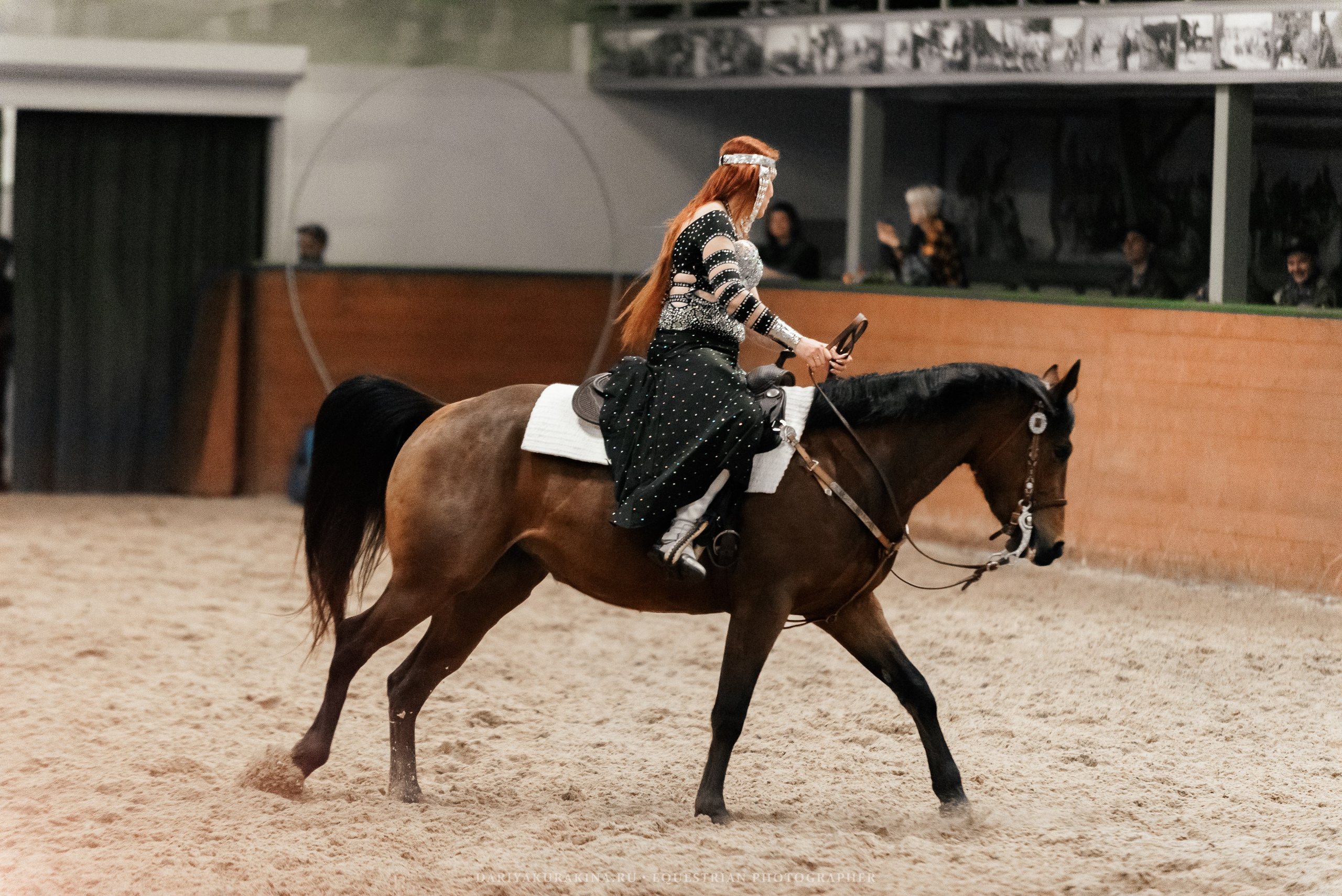 Конное представление «Дыхание Звёзд». Конный фотограф Куракина Дарья • Фотосессии с лошадьми