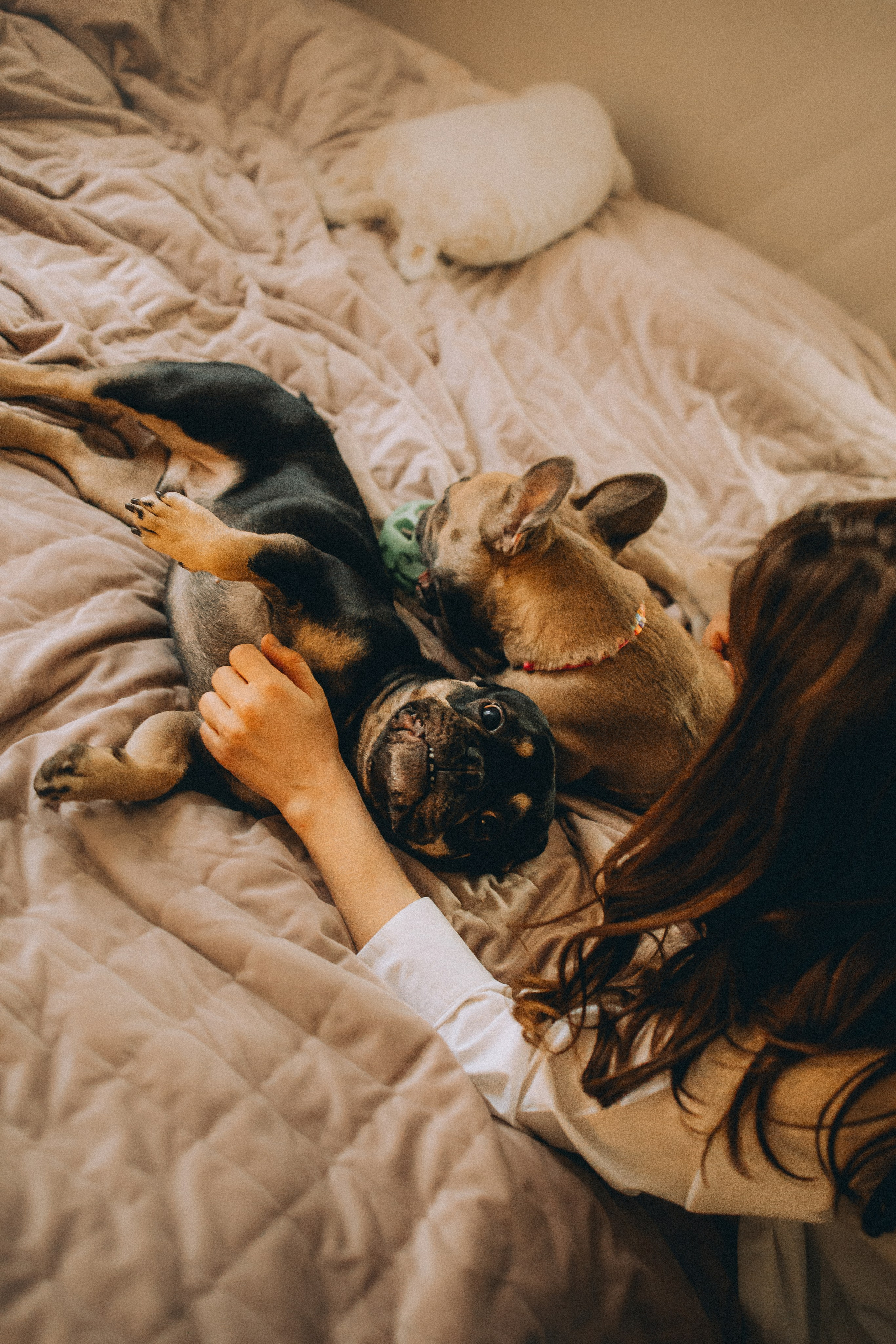 Юля, Мия и Зек