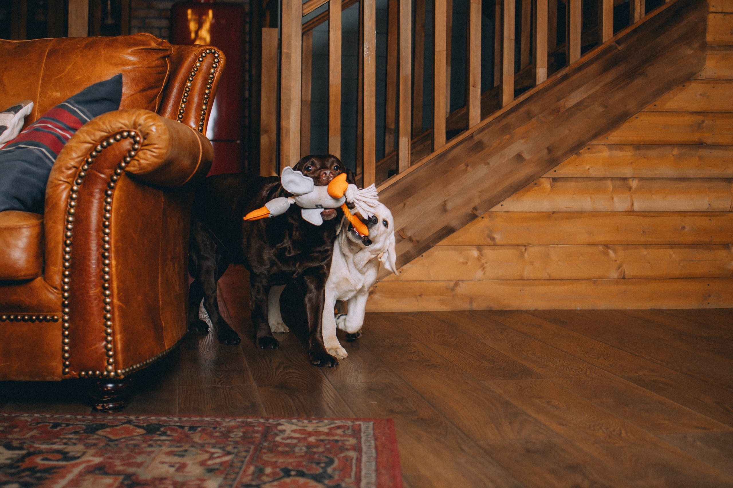 Ума, Берта и их семья