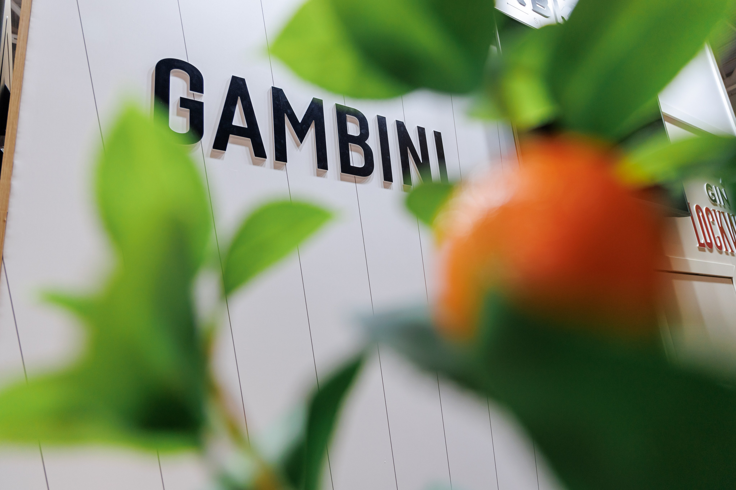 Репортажная фотосъёмка Краснодар , репортажный фотограф Краснодар, фотосъёмка выставки, фото репортаж, фотосъёмка конференция , фотограф Лагута Надежда, репортажный фотограф Краснодар. 