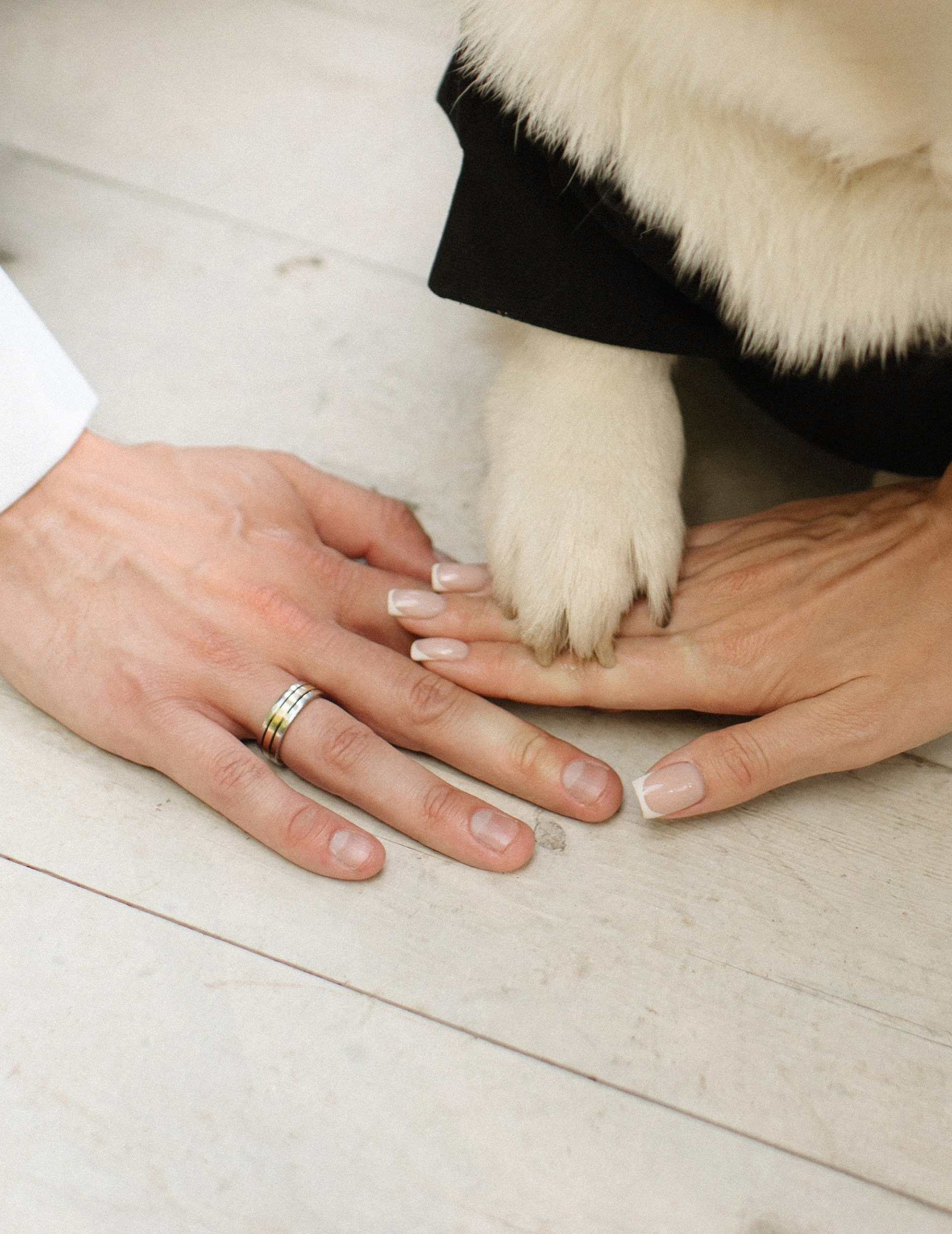 Маргарита и Антон. Letova Wedding — Свадебный организатор в Москве