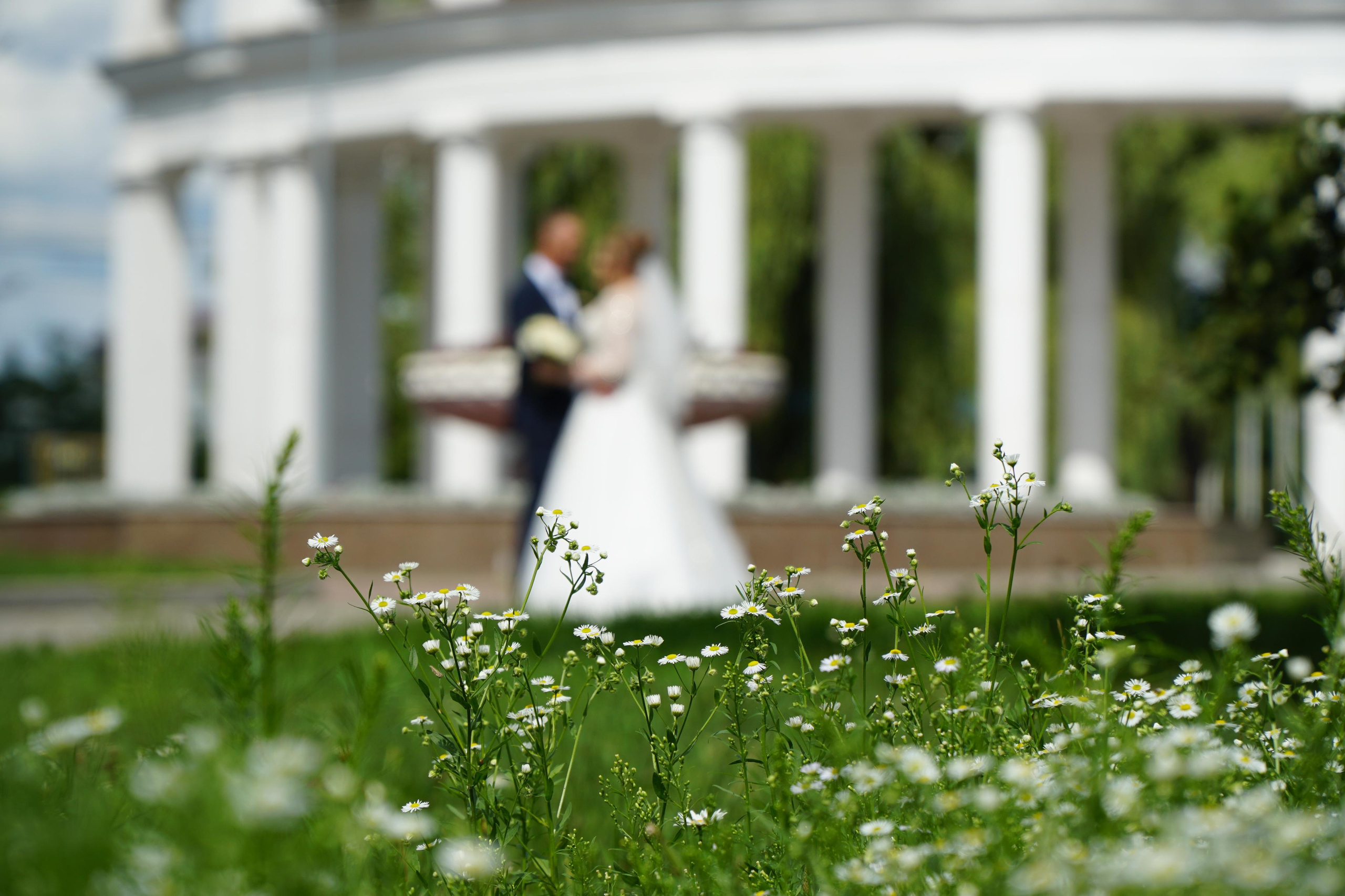 Отзыв клиента. Профессиональная съёмка и монтаж фото&видео в Курске и области