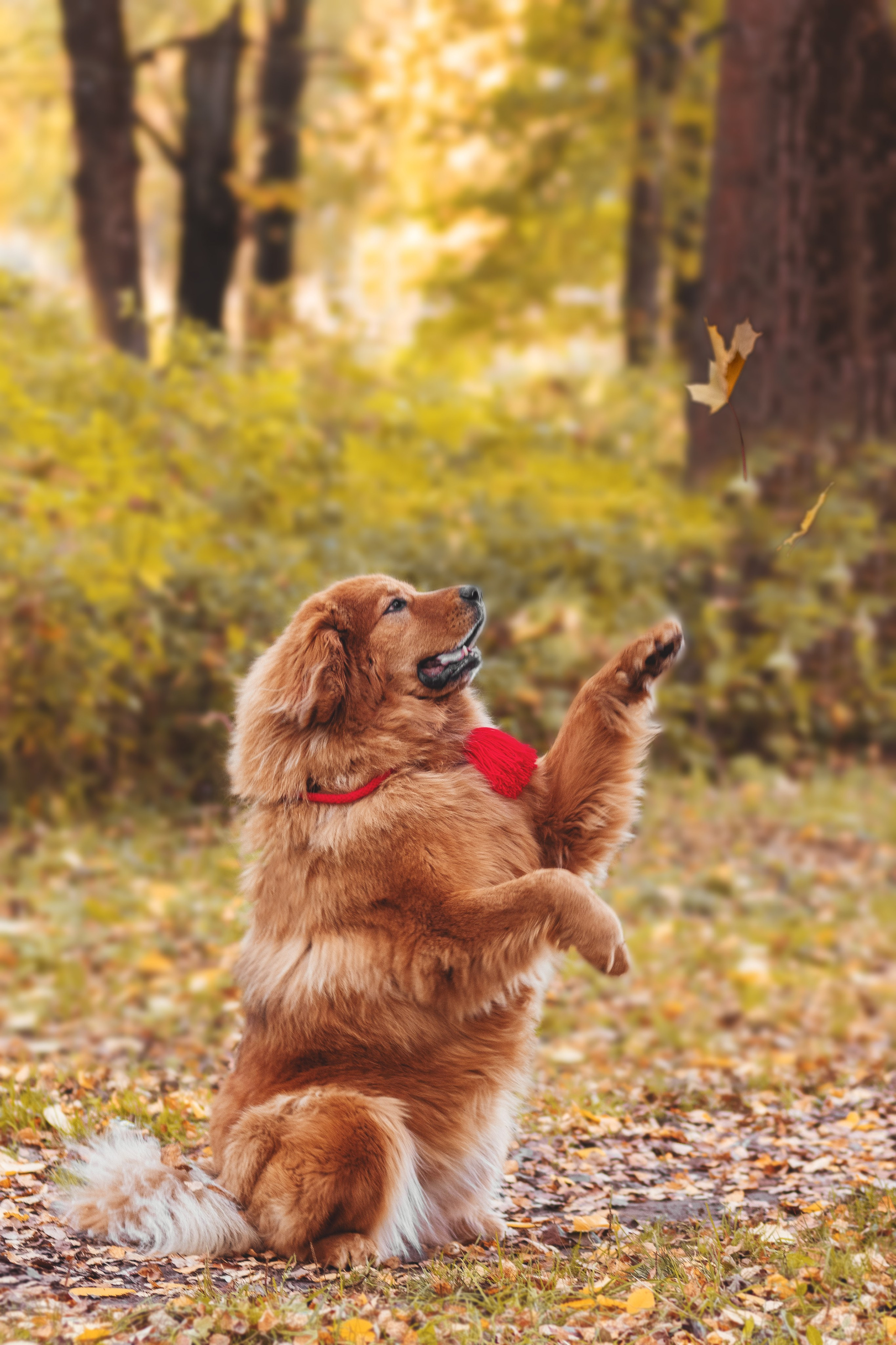 Роу. Юлия Микульская. Рыбинск