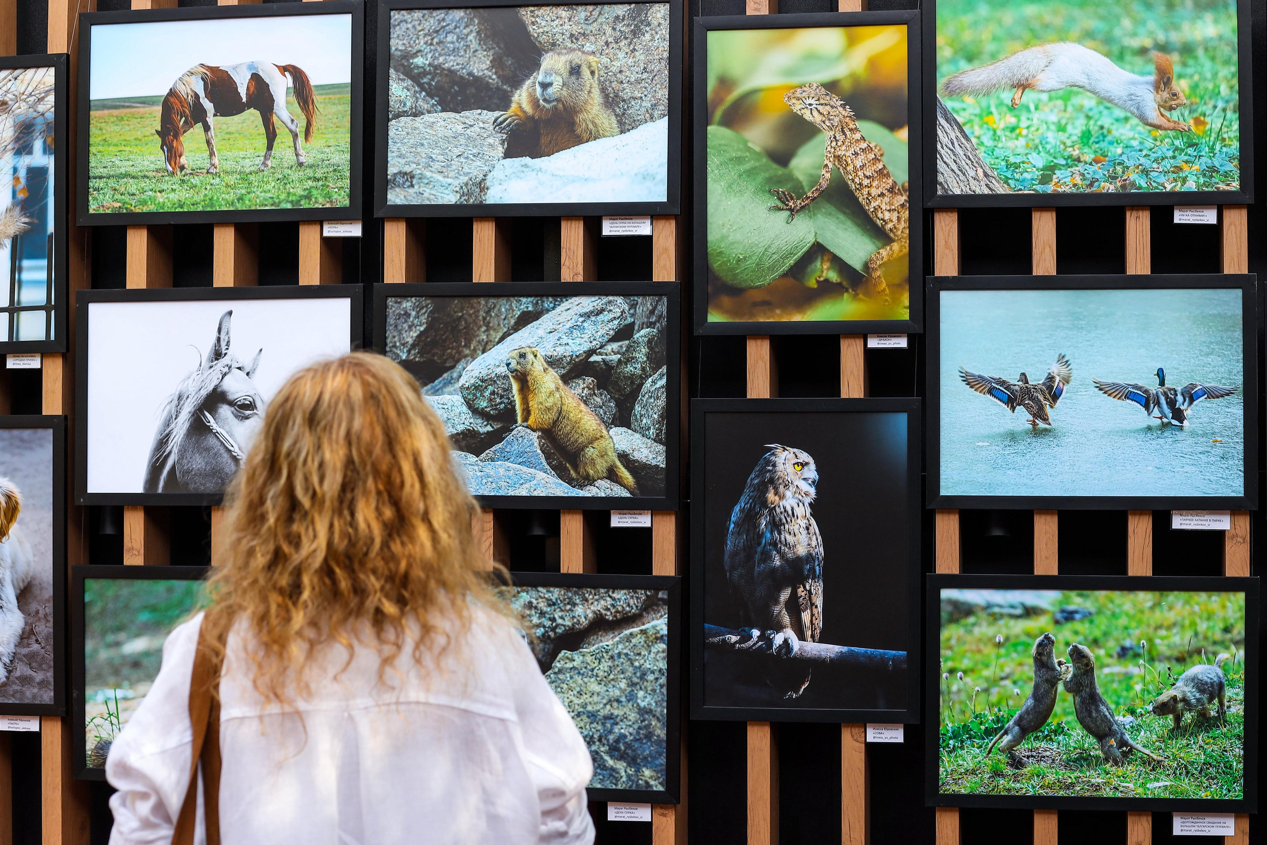 Выставки. Семейный и детский фотограф в Алматы Юровских Инесса
