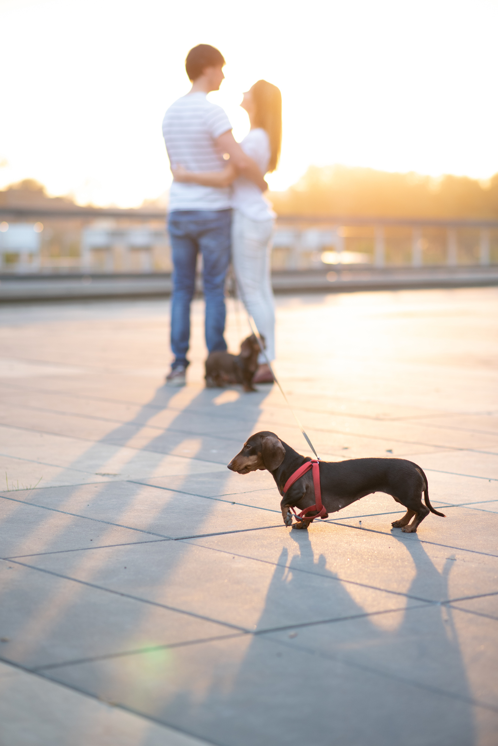 Пресеты. Свадебный и семейный фотограф в Москве Юлия Шикалова