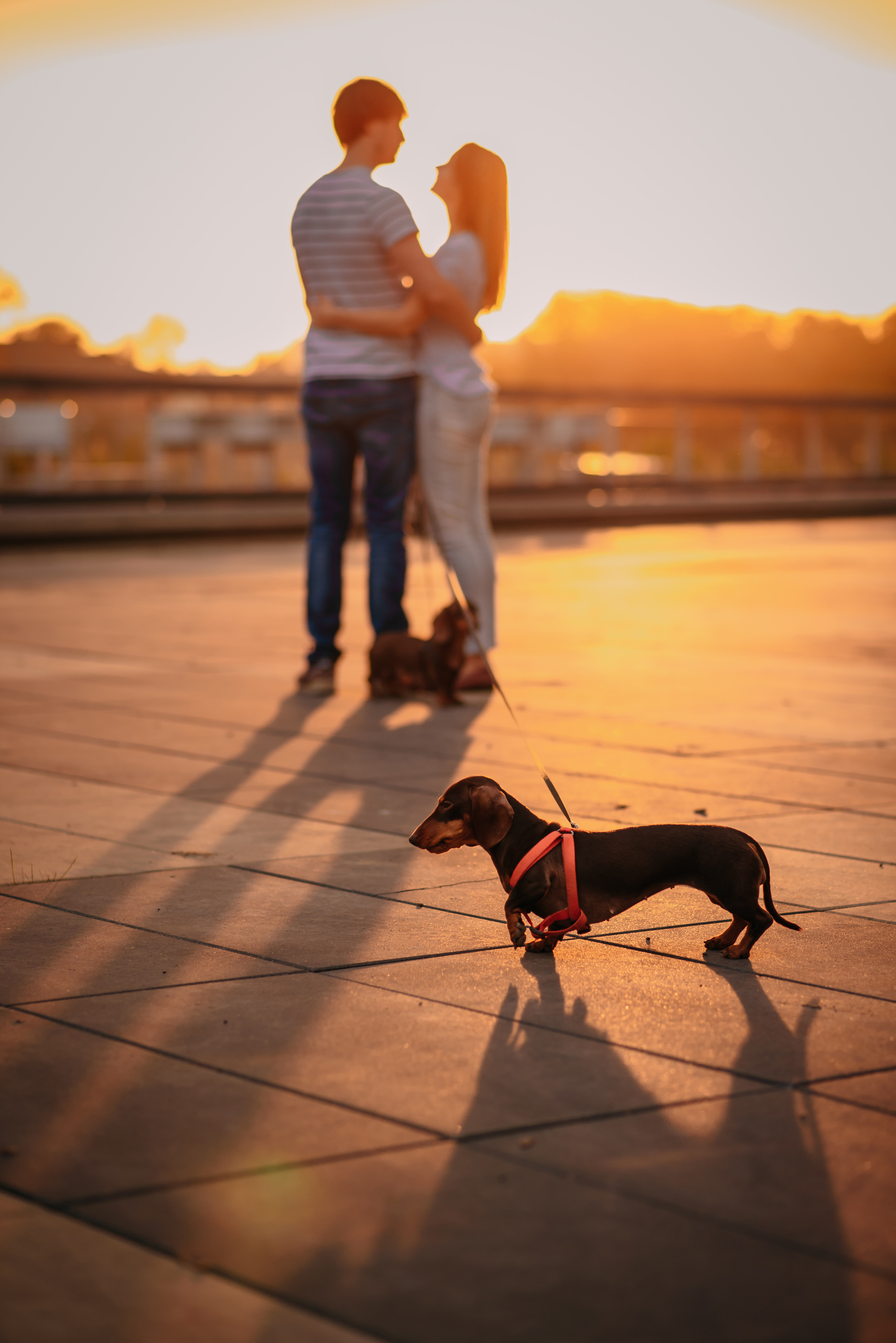 Пресеты. Свадебный и семейный фотограф в Москве Юлия Шикалова