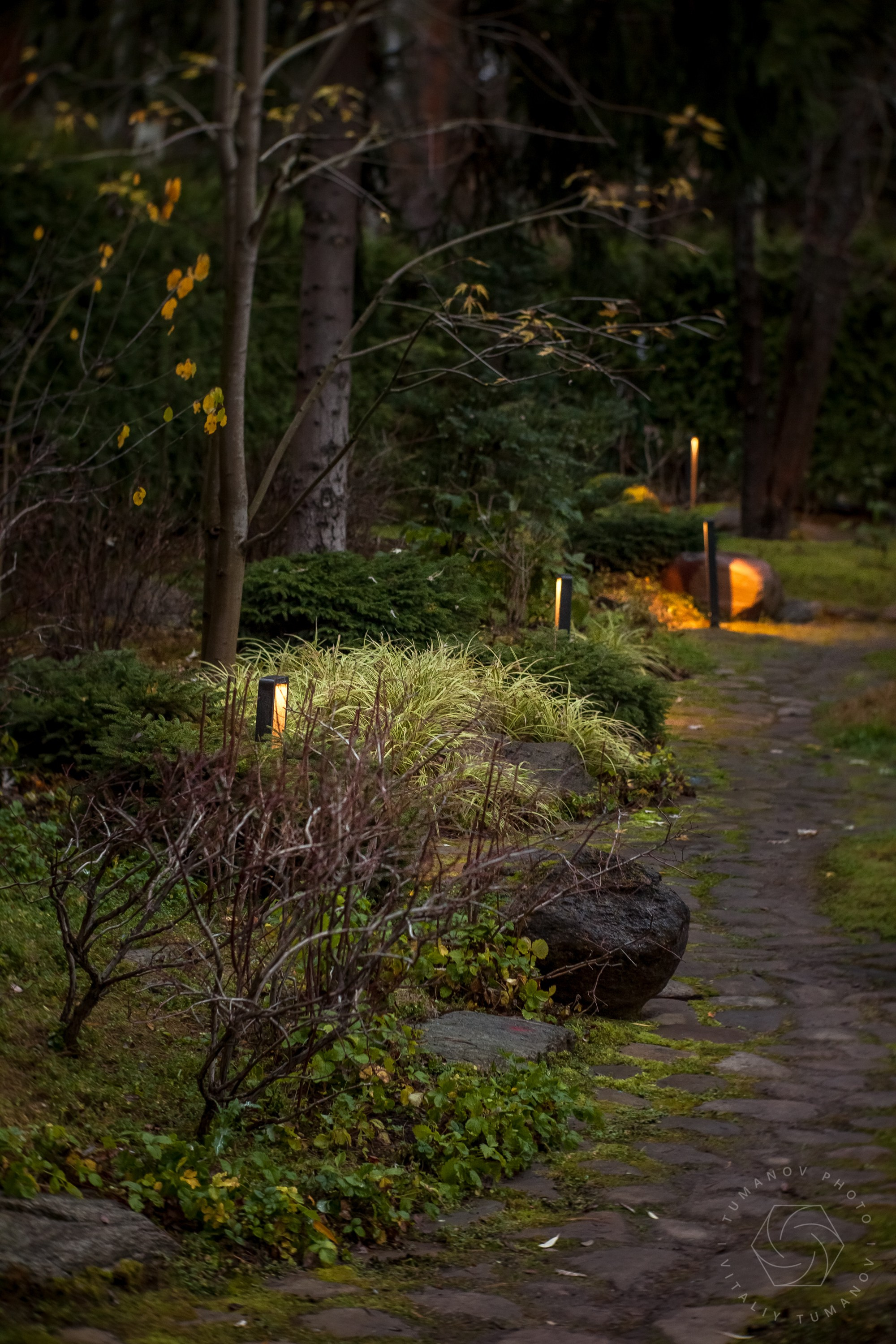 Вечерний сад «Сиреневый туман» (автор: Елена Асташкина). Виталий Туманов — Ландшафтный фотограф